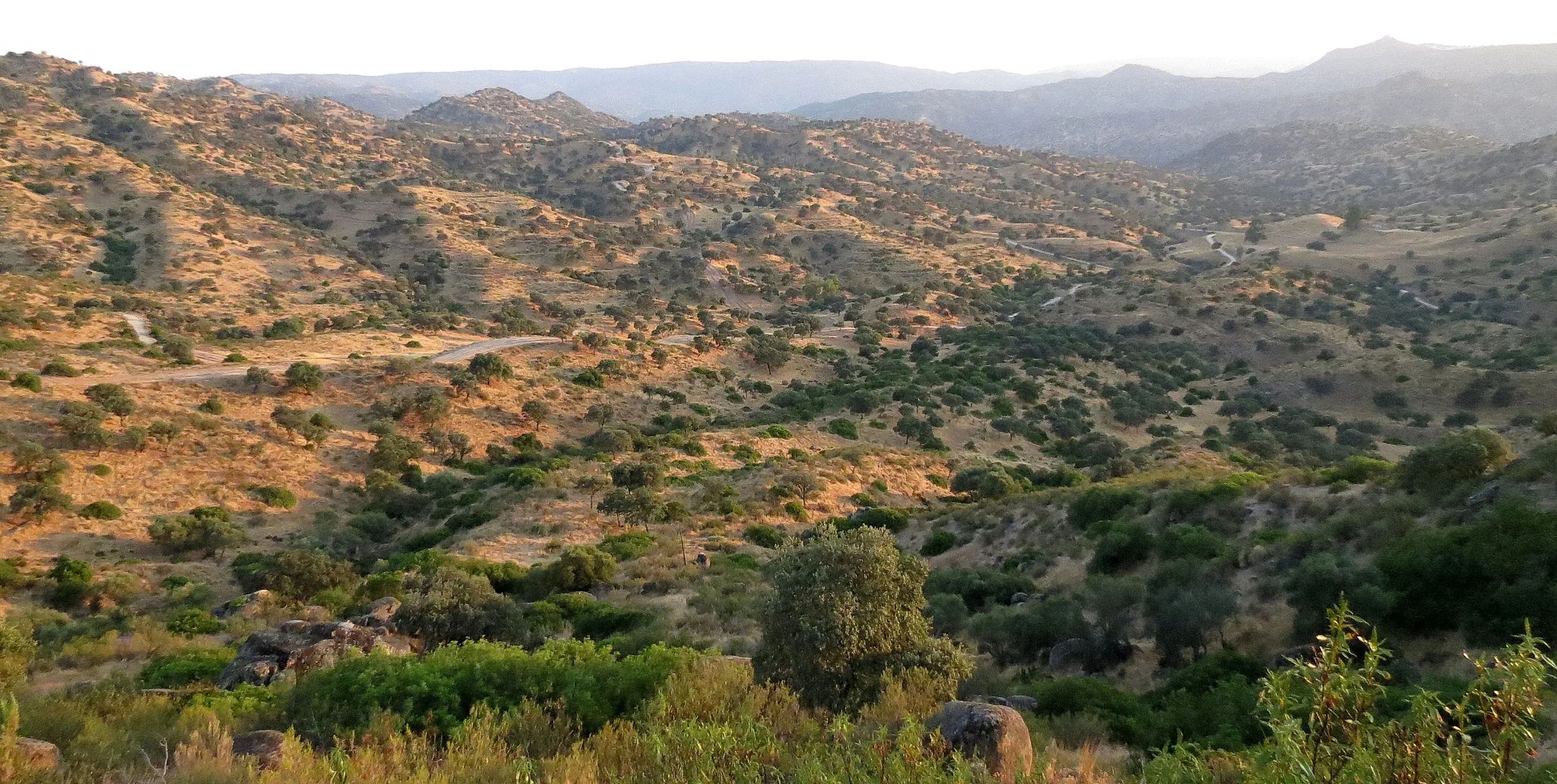 SIERRA DE ANDUJAR NATIONAL PARK SPAIN (1).JPG