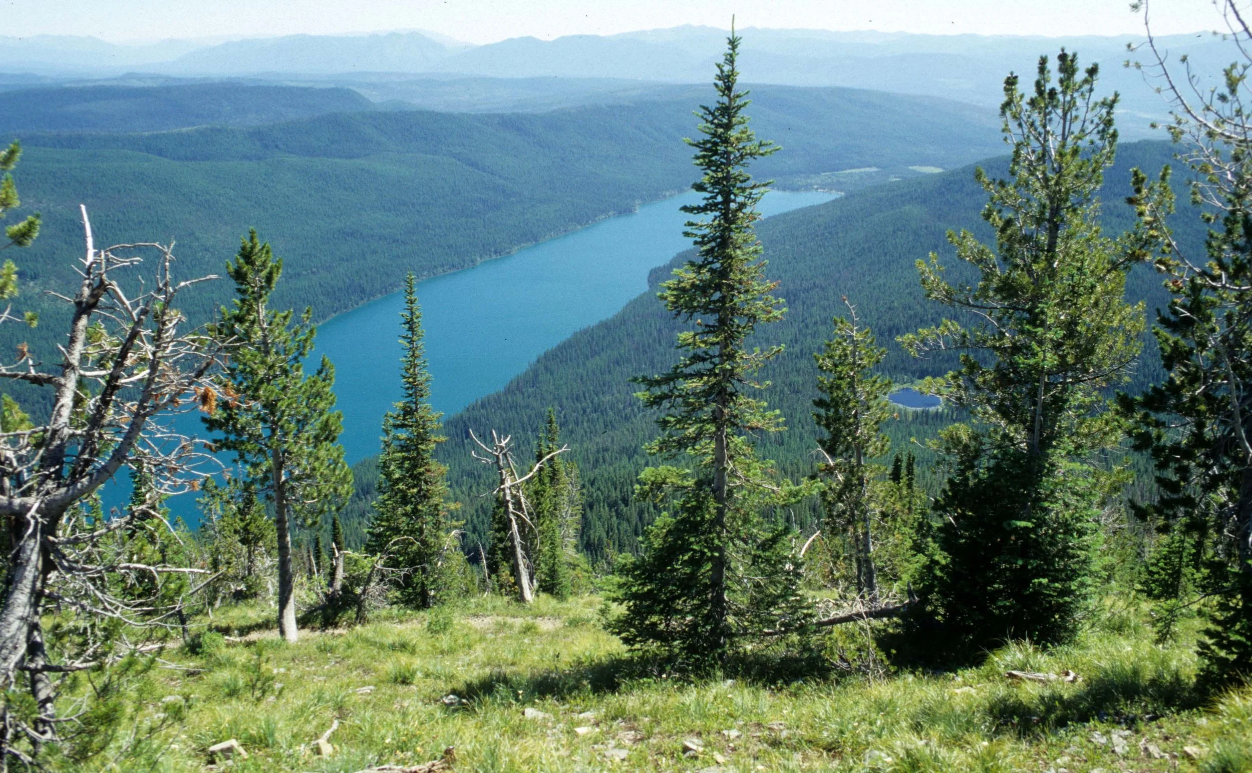 MONTANA - GLACIER - GLACIER NATIONAL PARK VIEWS (11).jpg