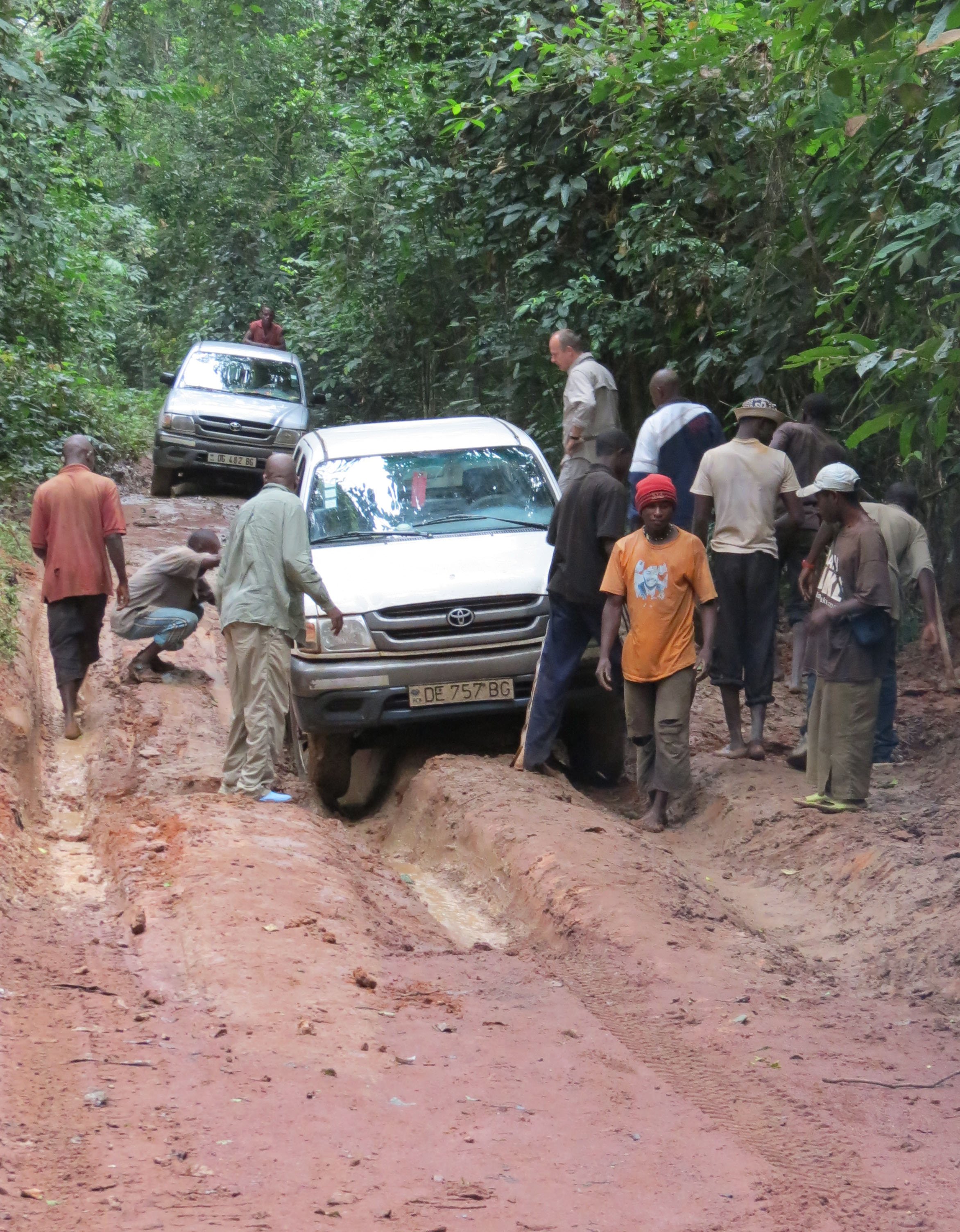 DZANGA NDOKI NATIONAL PARK  - CENTRAL AFRICAN REPUBLIC (15).JPG