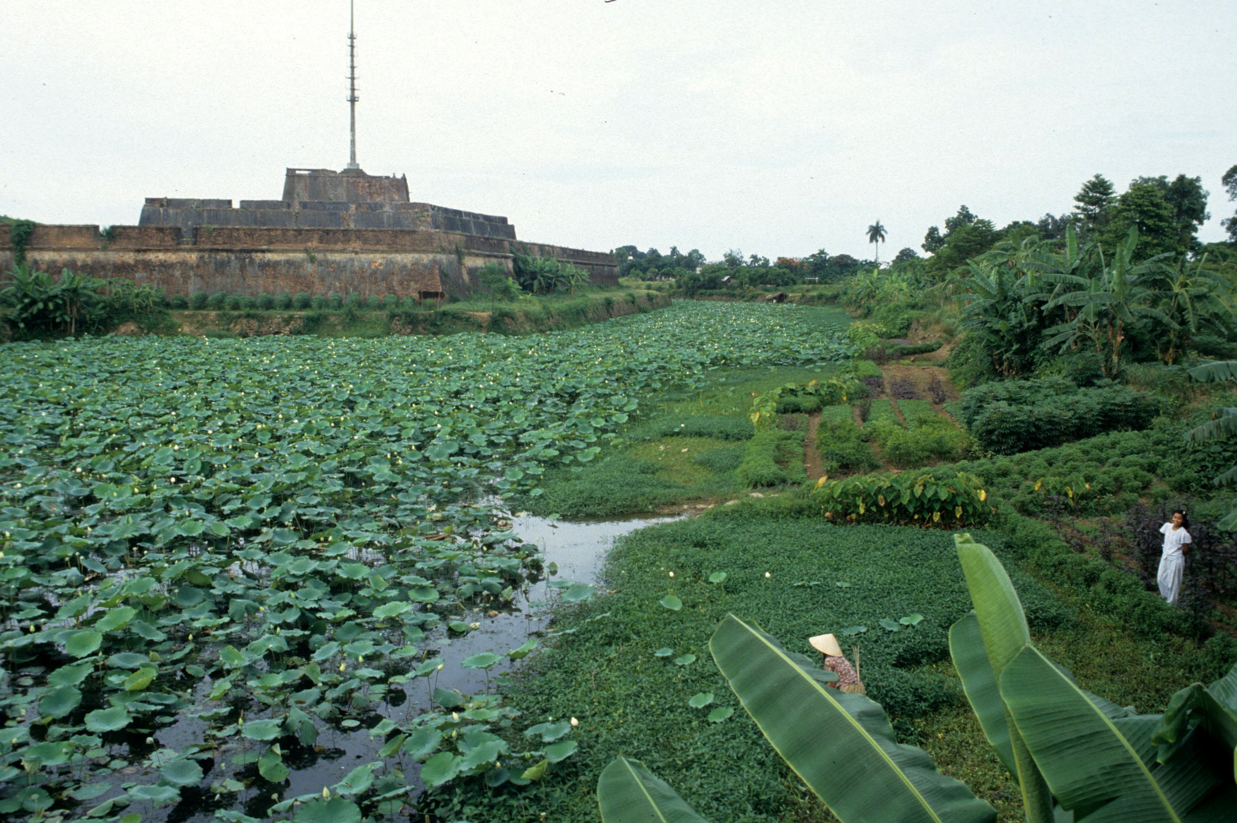 HANOI - CITADEL (2).jpg