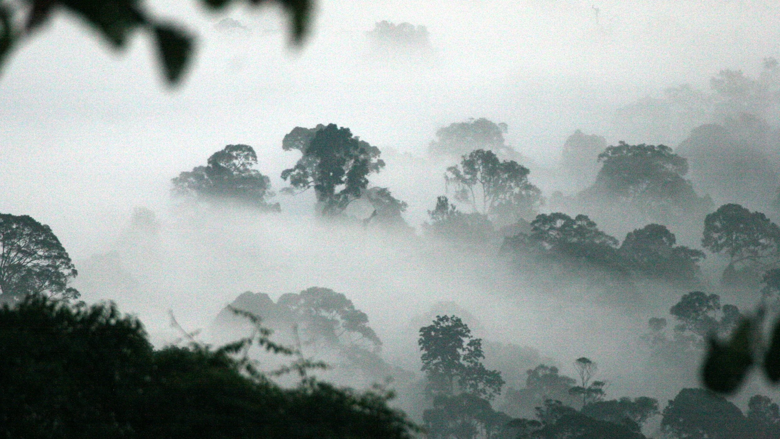 DANUM VALLEY BORNEO - SUNRISE OVER THE DANUM.JPG