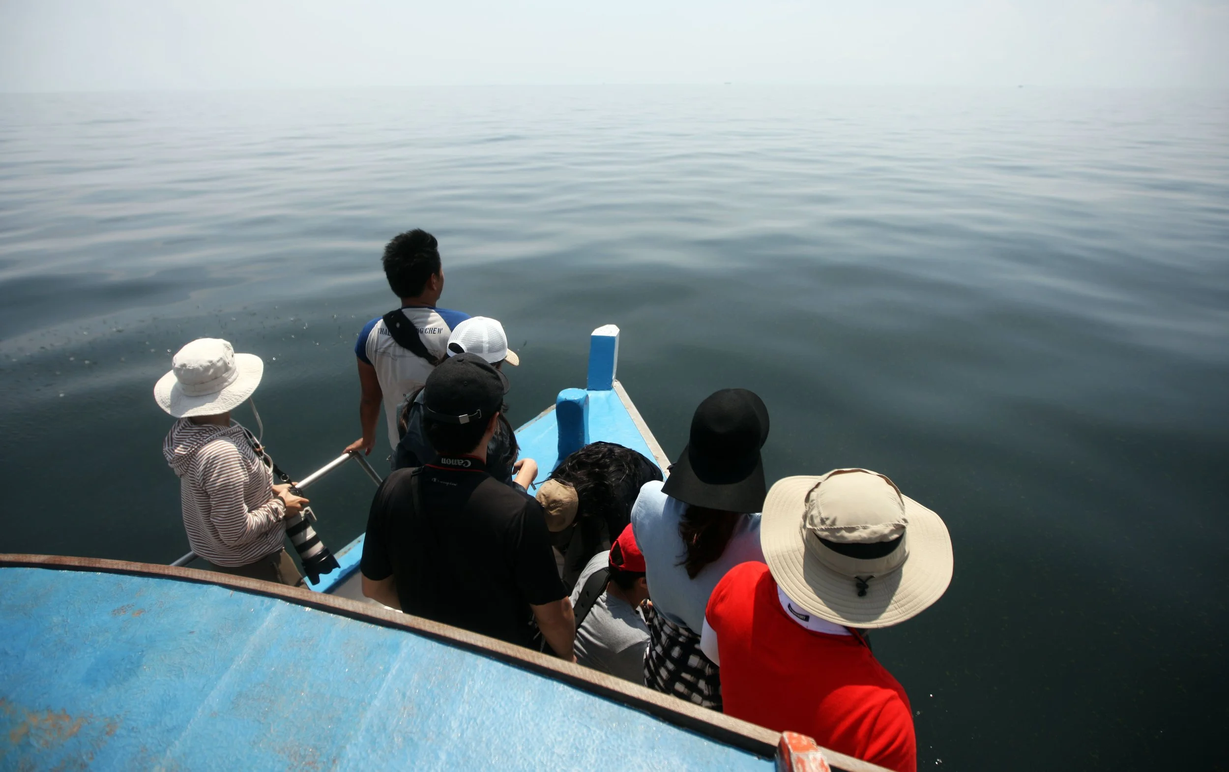 2014 Amphawa Trip to See Whales from Baan Taboon (39).JPG