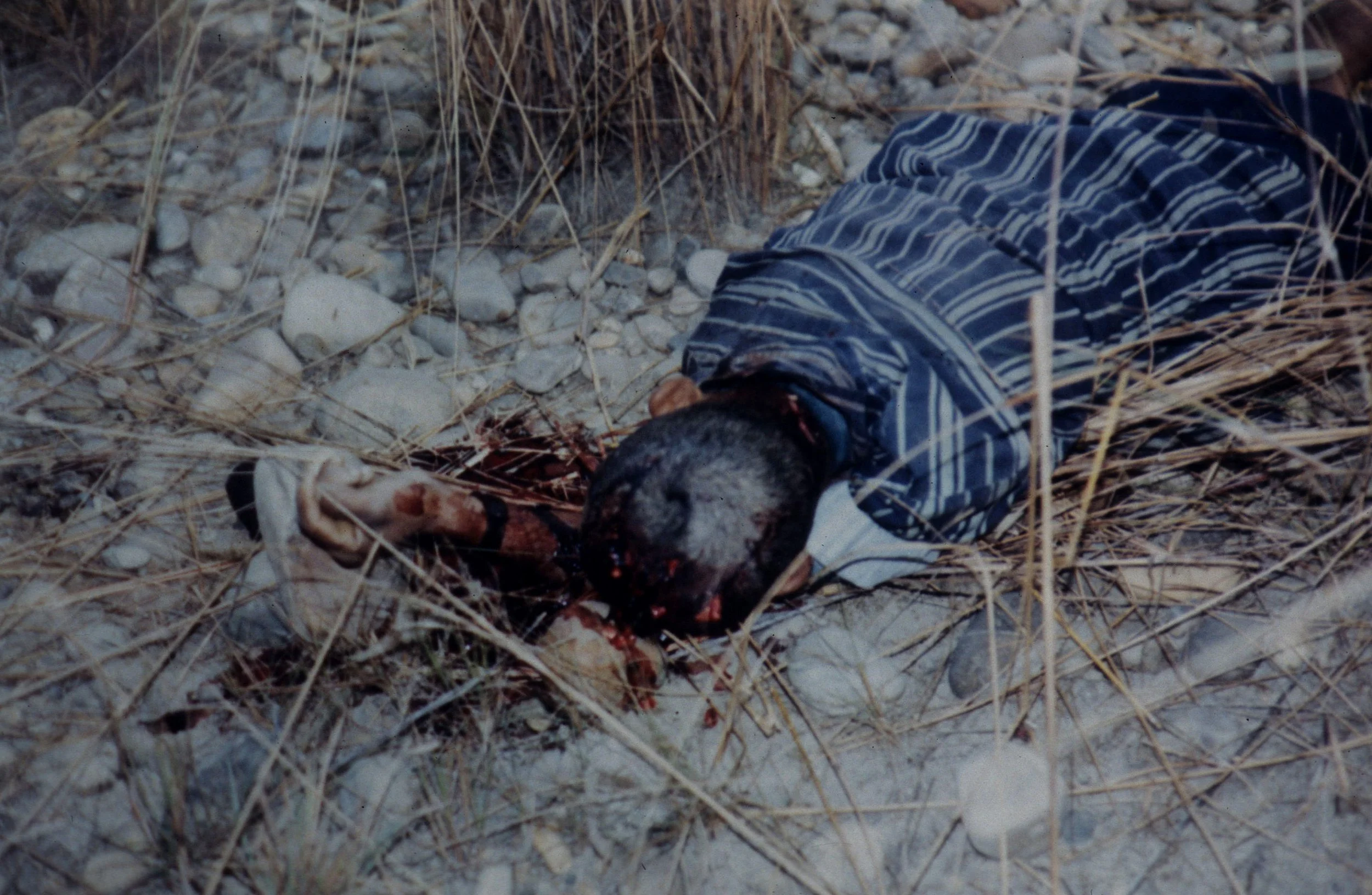 TIGER - ATTACK VICTEM - CHITWAN NEPAL.jpg