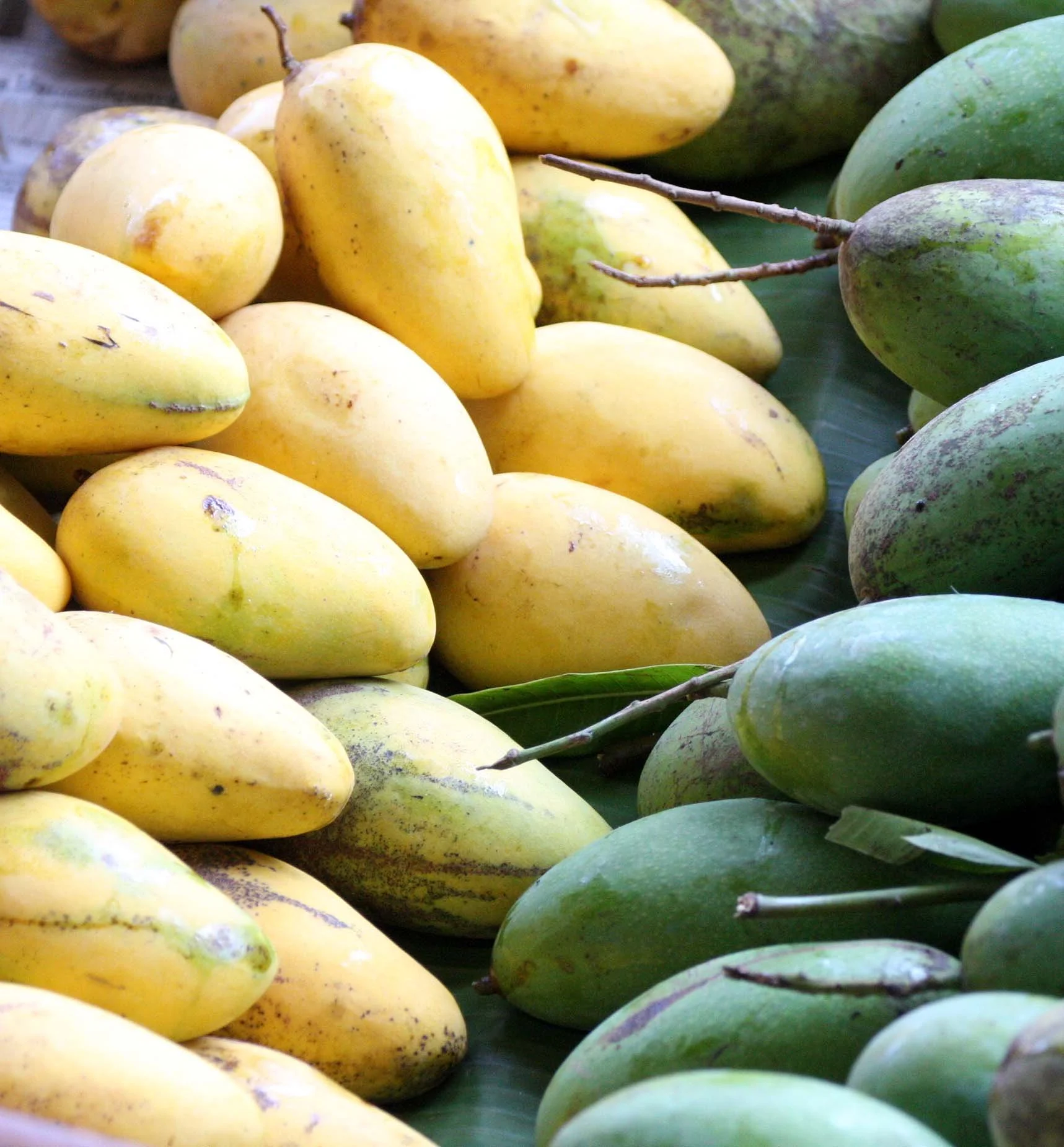 2008 Damnoen Saduak Floating Market Day Trip (122).JPG