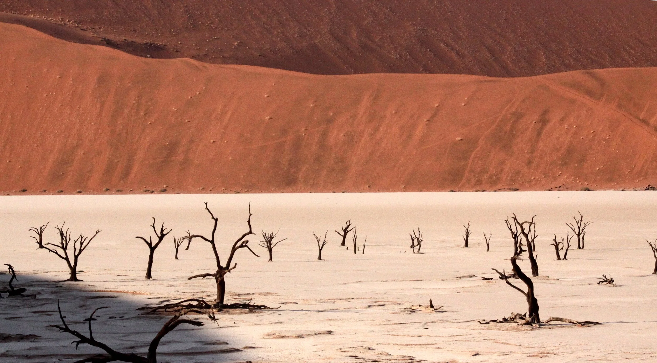 Dead Vlei