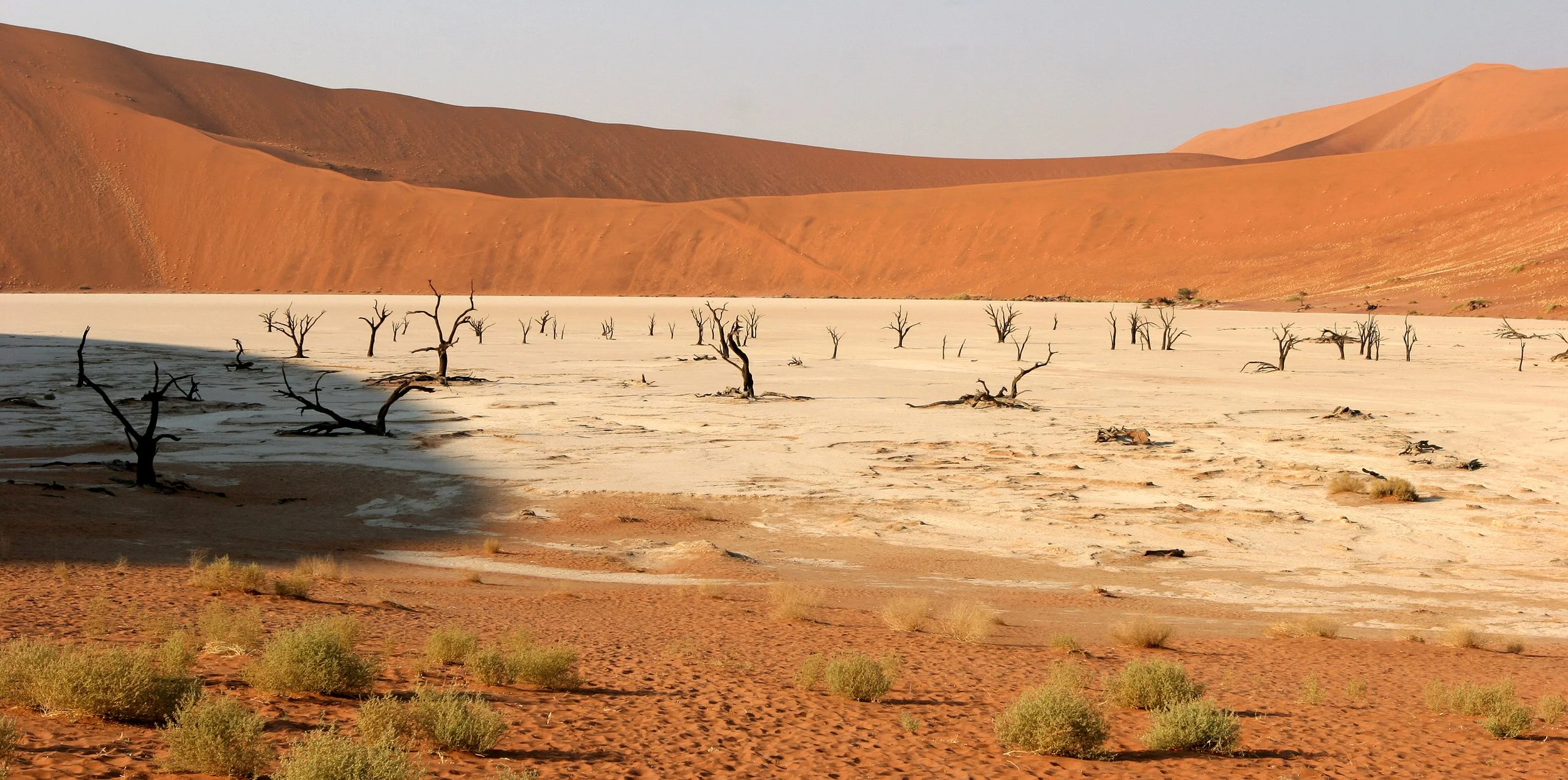 Dead Vlei at Sossusvlei National Park, Namibia