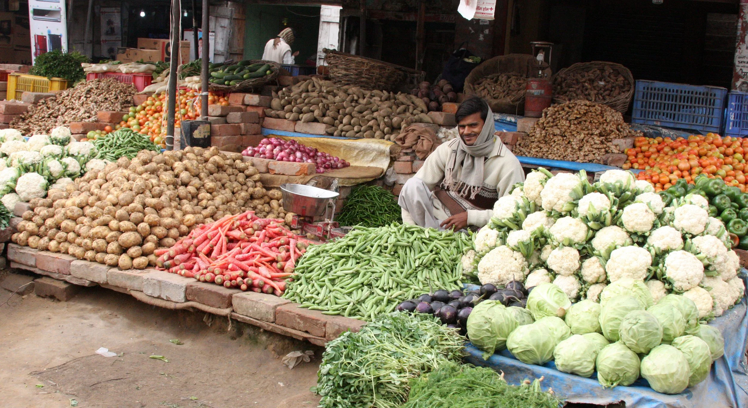 CHAMBAL RIVER SANCTUARY INDIA (27).JPG