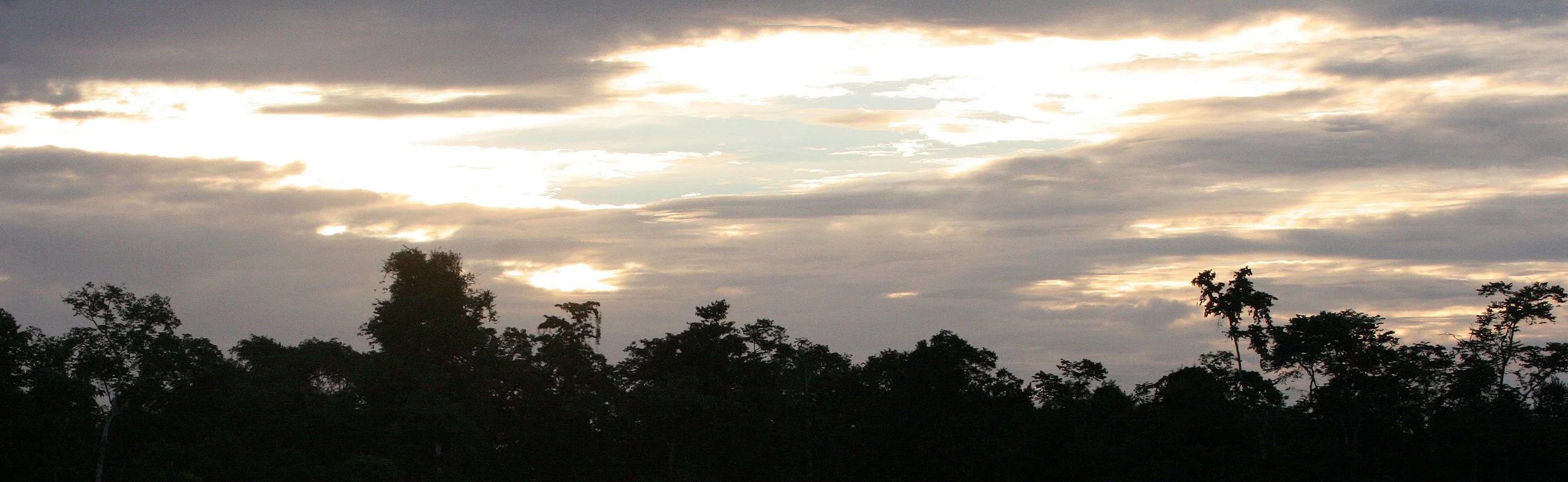 KINABATANGAN RIVER BORNEO - SUNSET SPECTACULAR (6).JPG