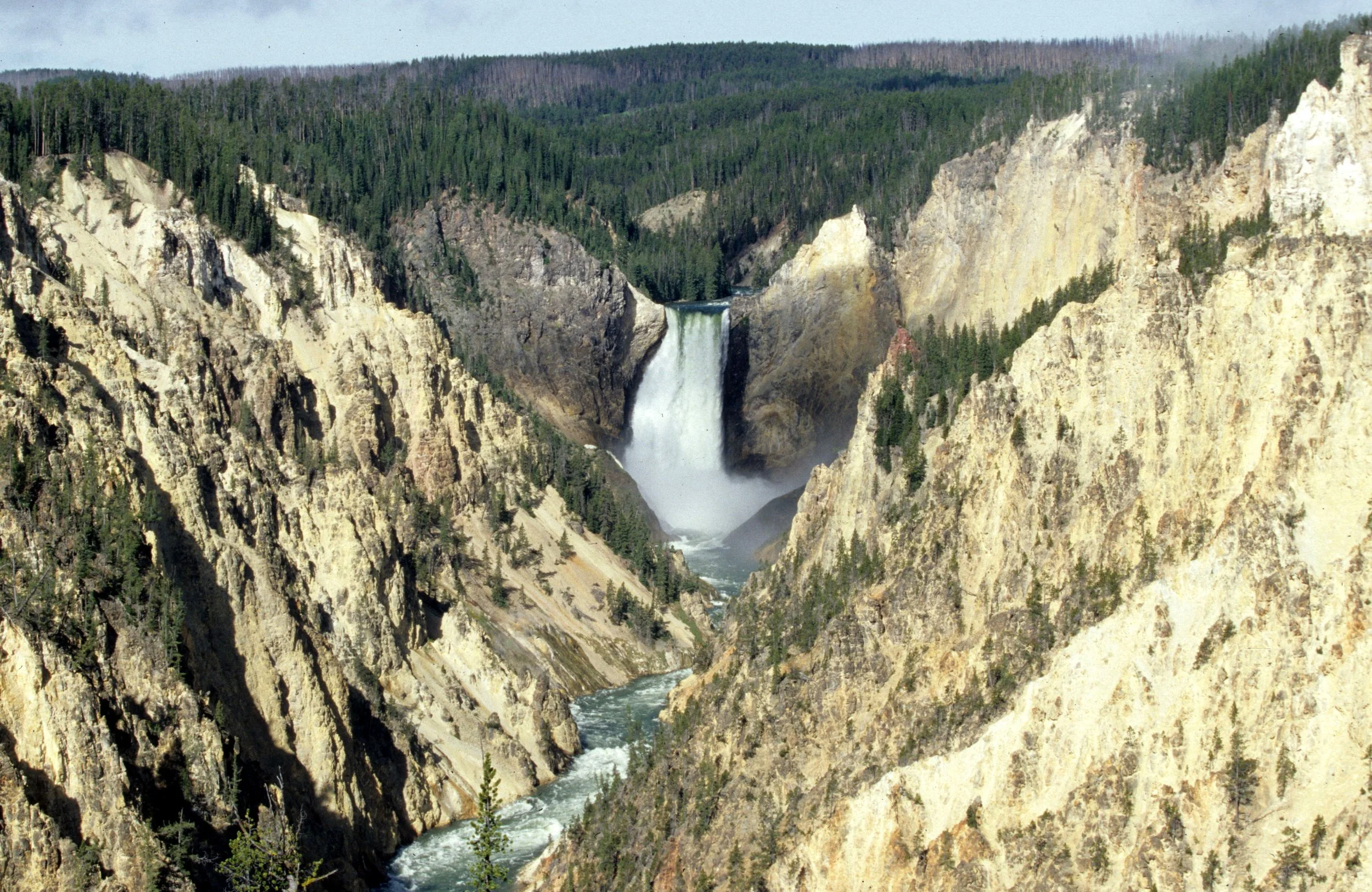 YELLOWSTONE - UPPER FALLS.jpg