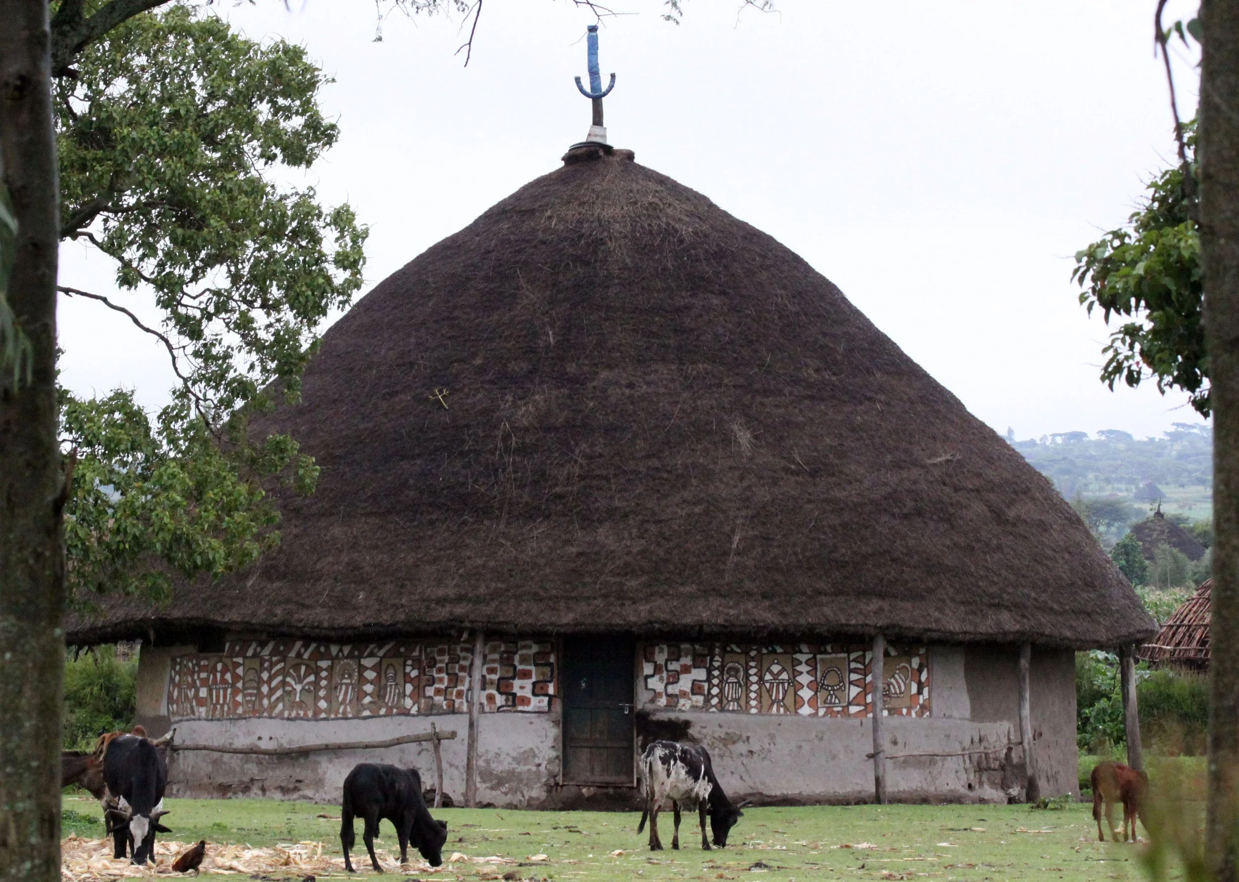 SENKELE SANCTUARY SURROUNDING VILLAGES - ETHIOPIA (5).JPG