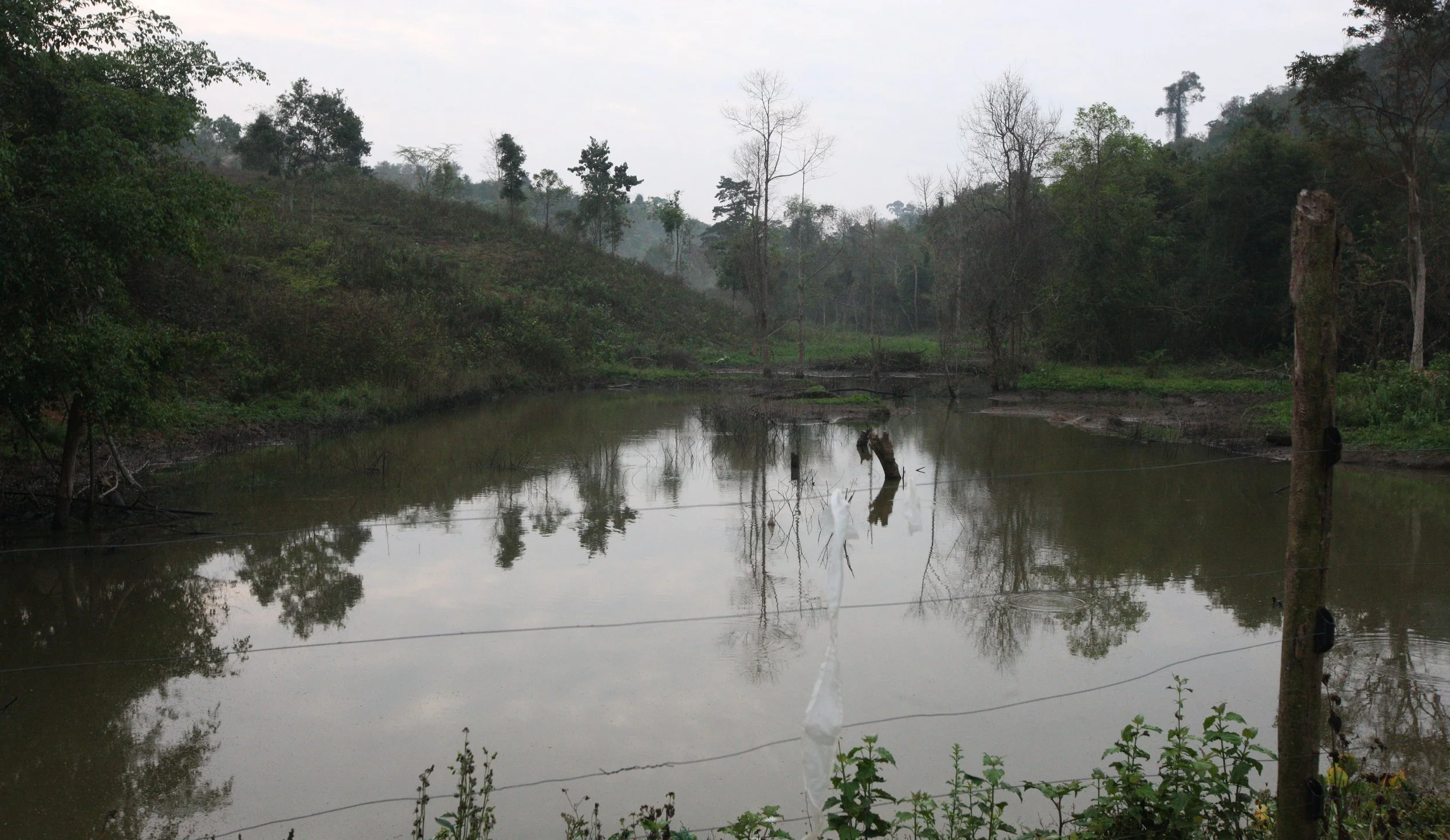 2015 Khao Pang Ma Nonhunting Area (150).JPG