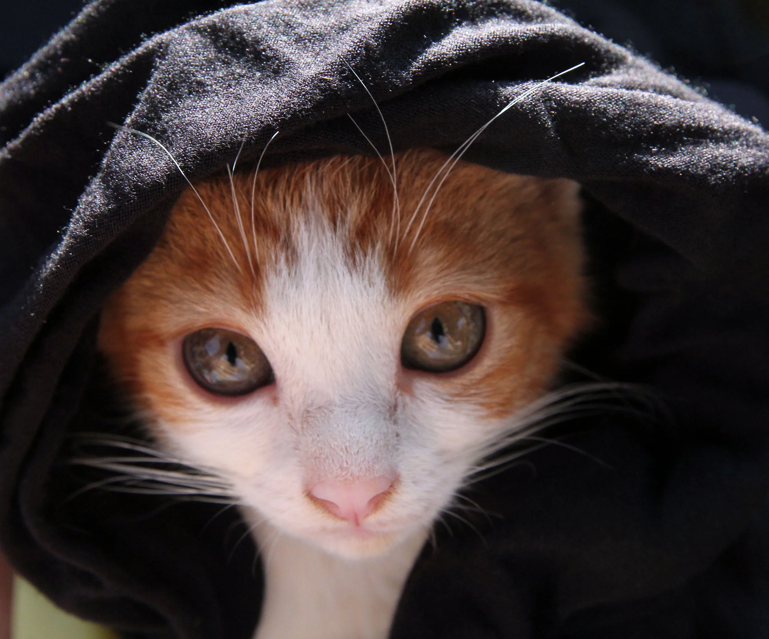 2015 Koh Lanta Summer Misc Images (732).JPG