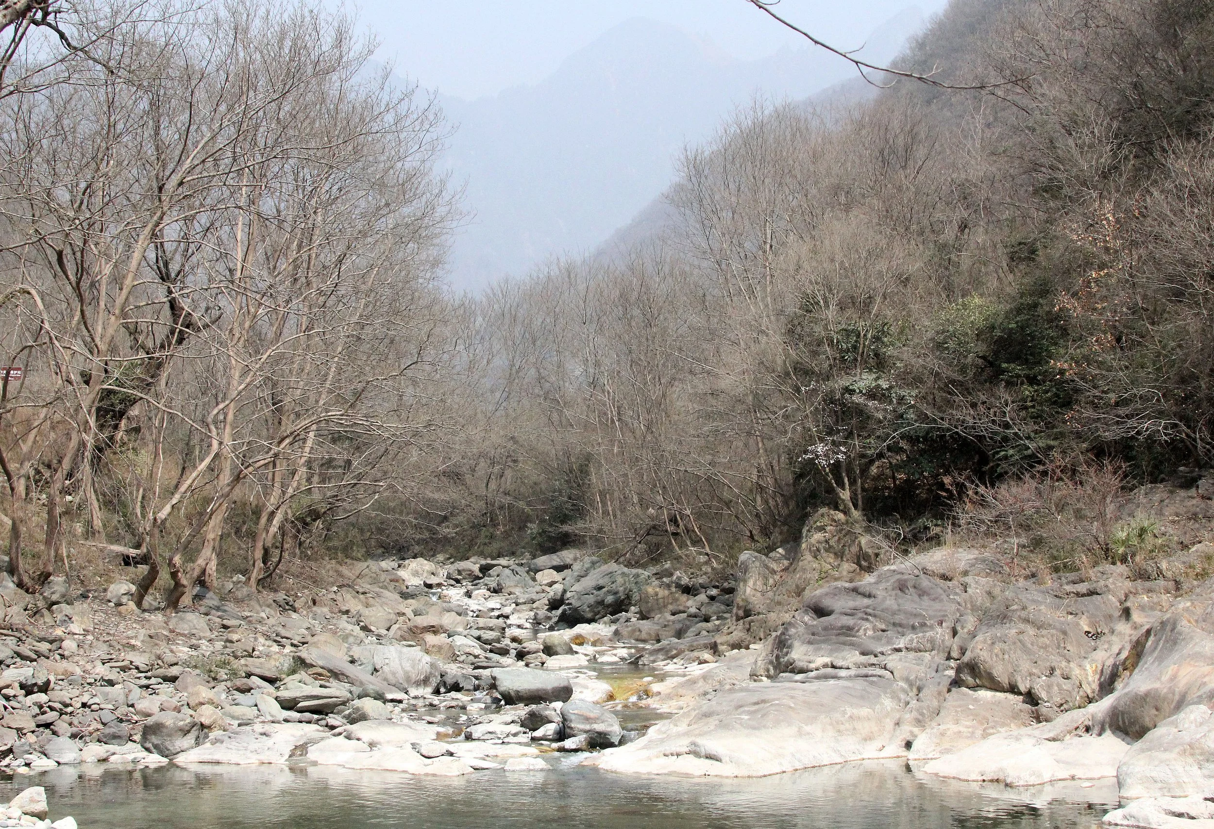 TANGJIAHE NATURE RESERVE, SICHUAN CHINA (42).JPG
