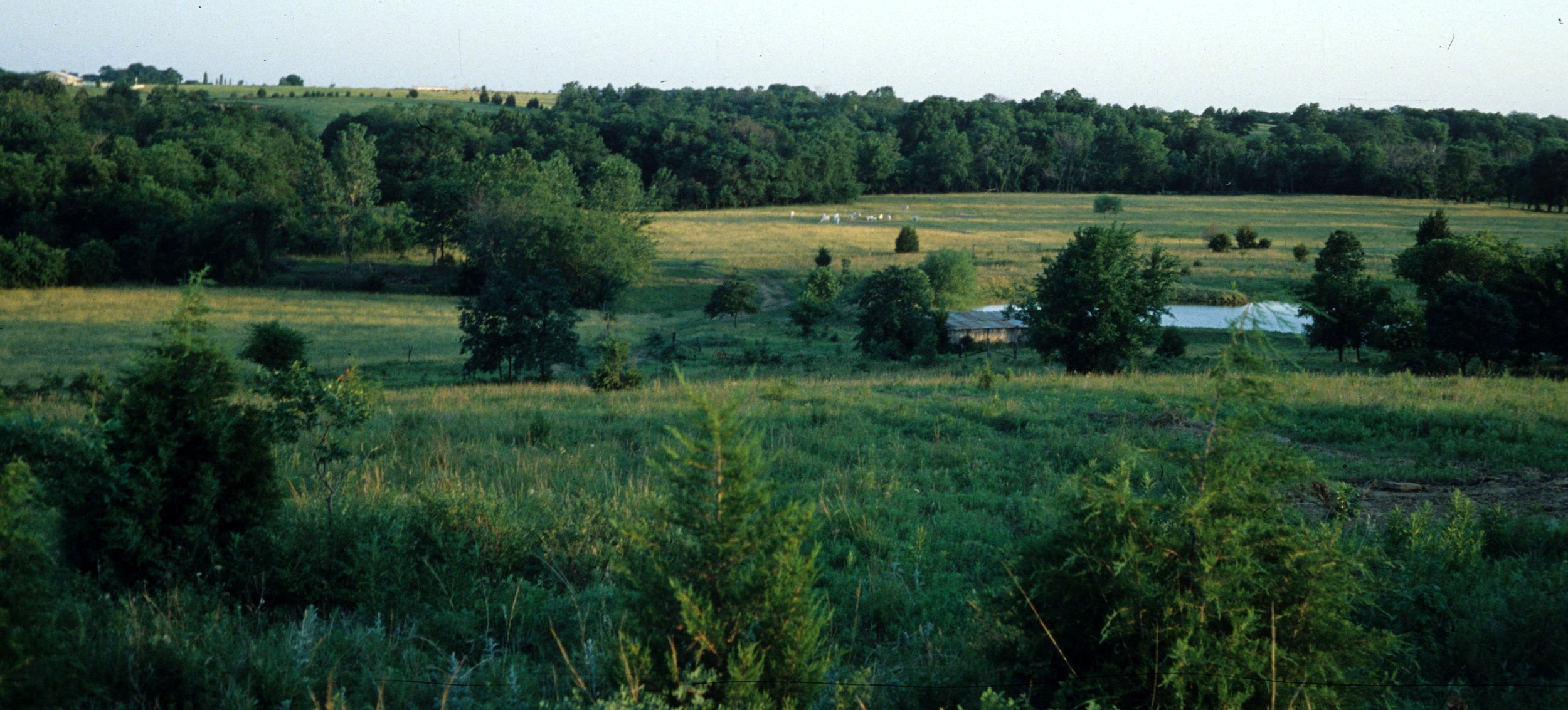 1977 - SUMMER TRIP - KANSAS - PITTS HOMESTEAD E.jpg