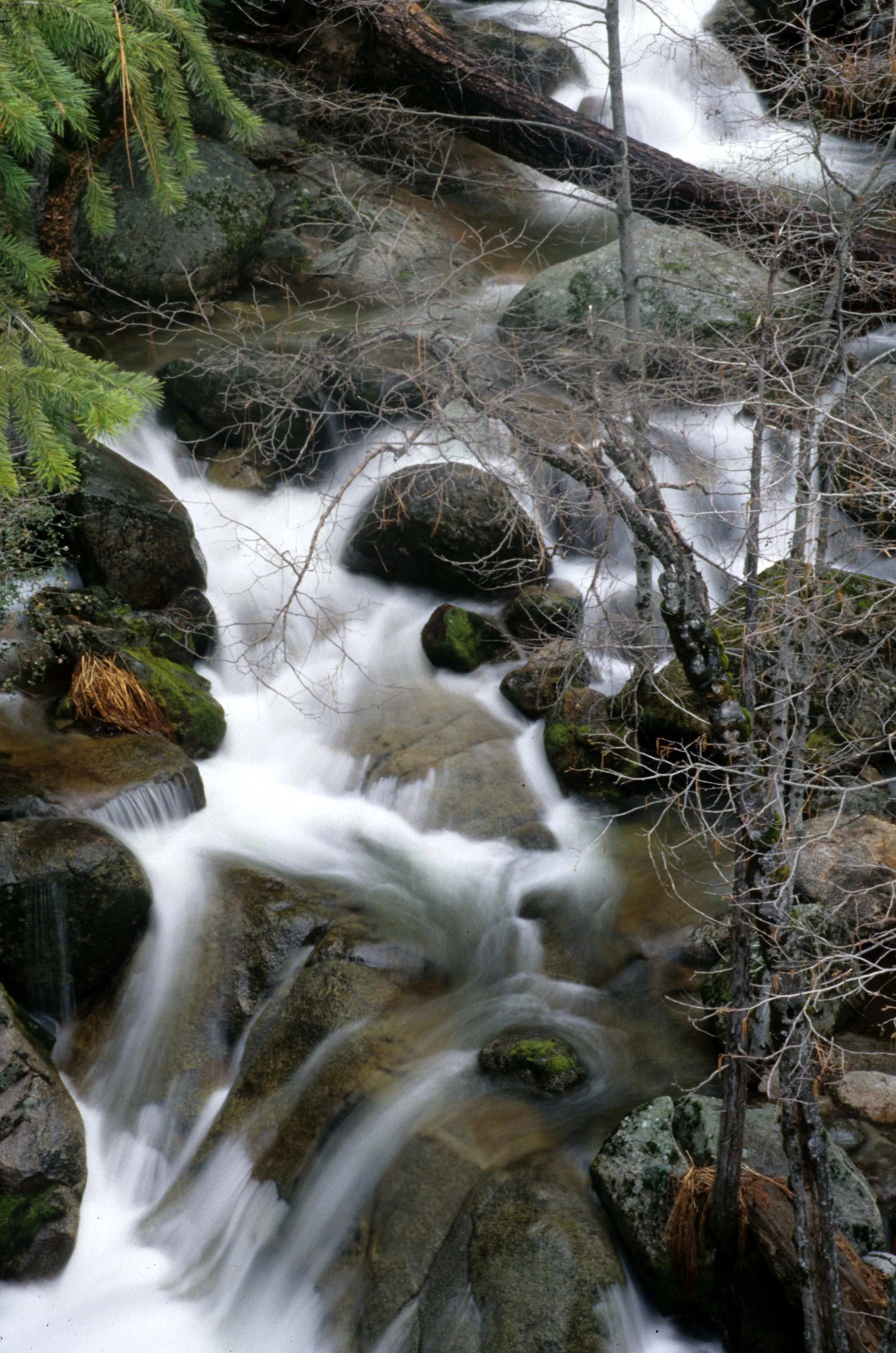 CALIFORNIA - YOSEMITE - MERCED RIVER TRIBUTARY.jpg