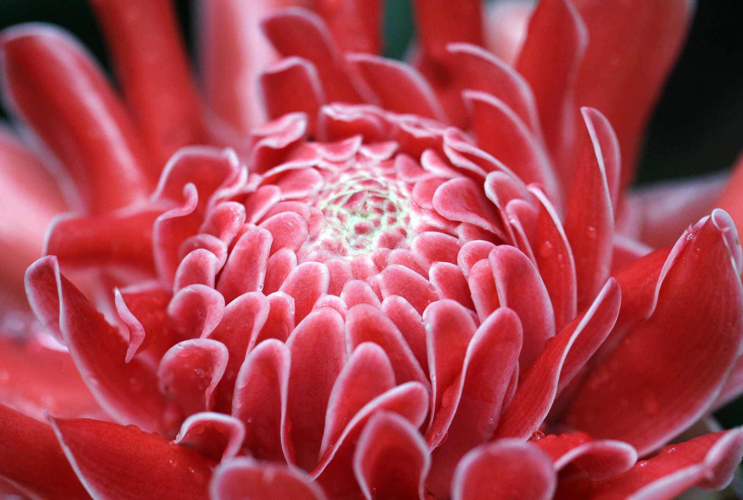 2013 in Nakhonsithammarat and some Krabi with Family (32).JPG