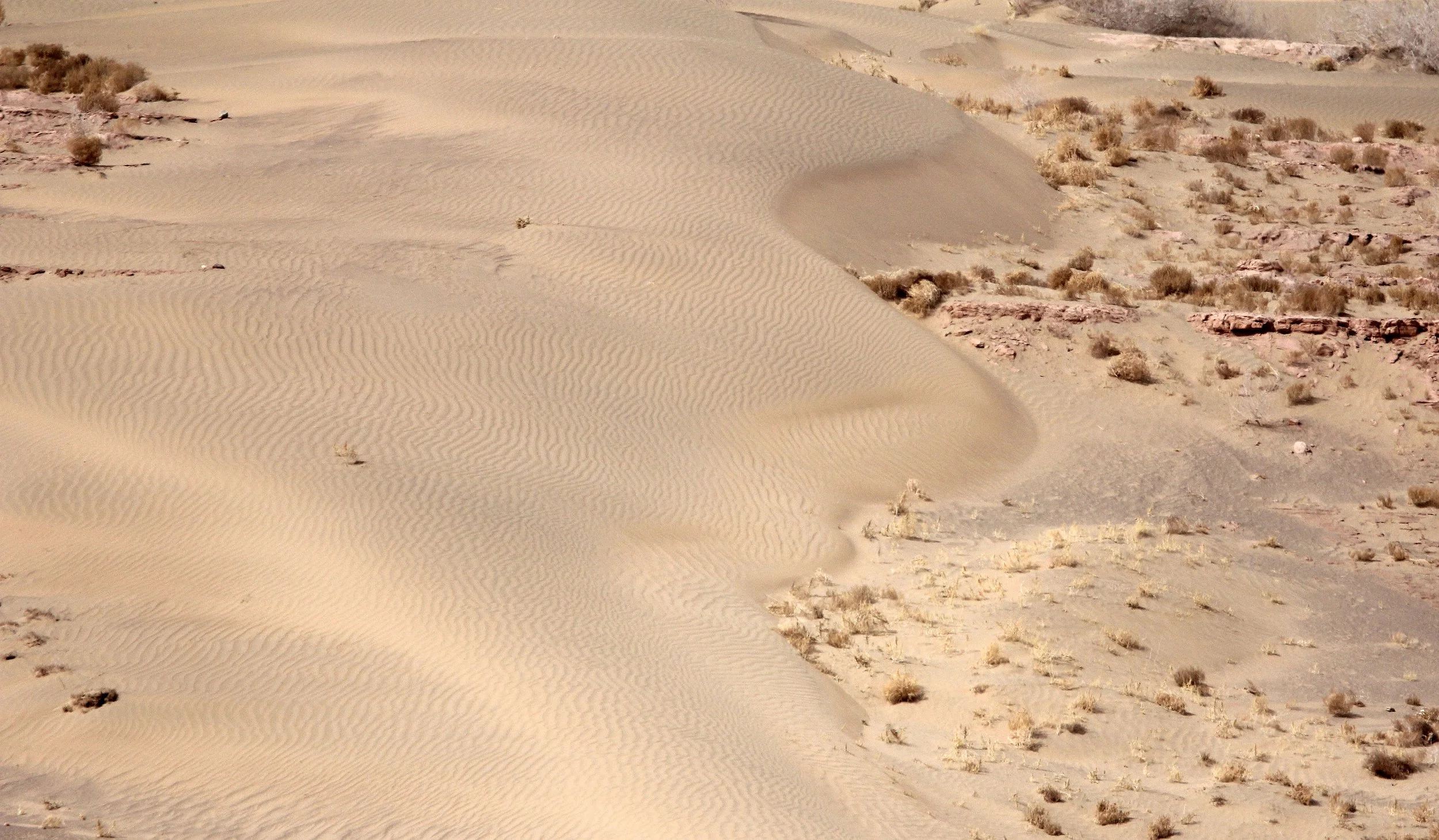 GANSU - DUNES SOUTH OF DUNHUANG - CHINA (33).JPG