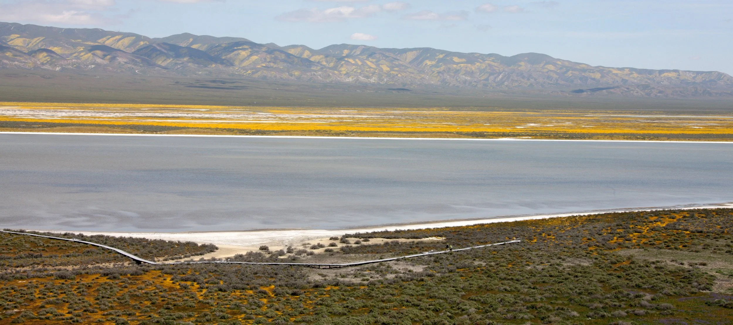 CARRIZO PLAIN NATIONAL MONUMENT - VIEWS OF THE REGION - ROADTRIP 2010 (35).JPG