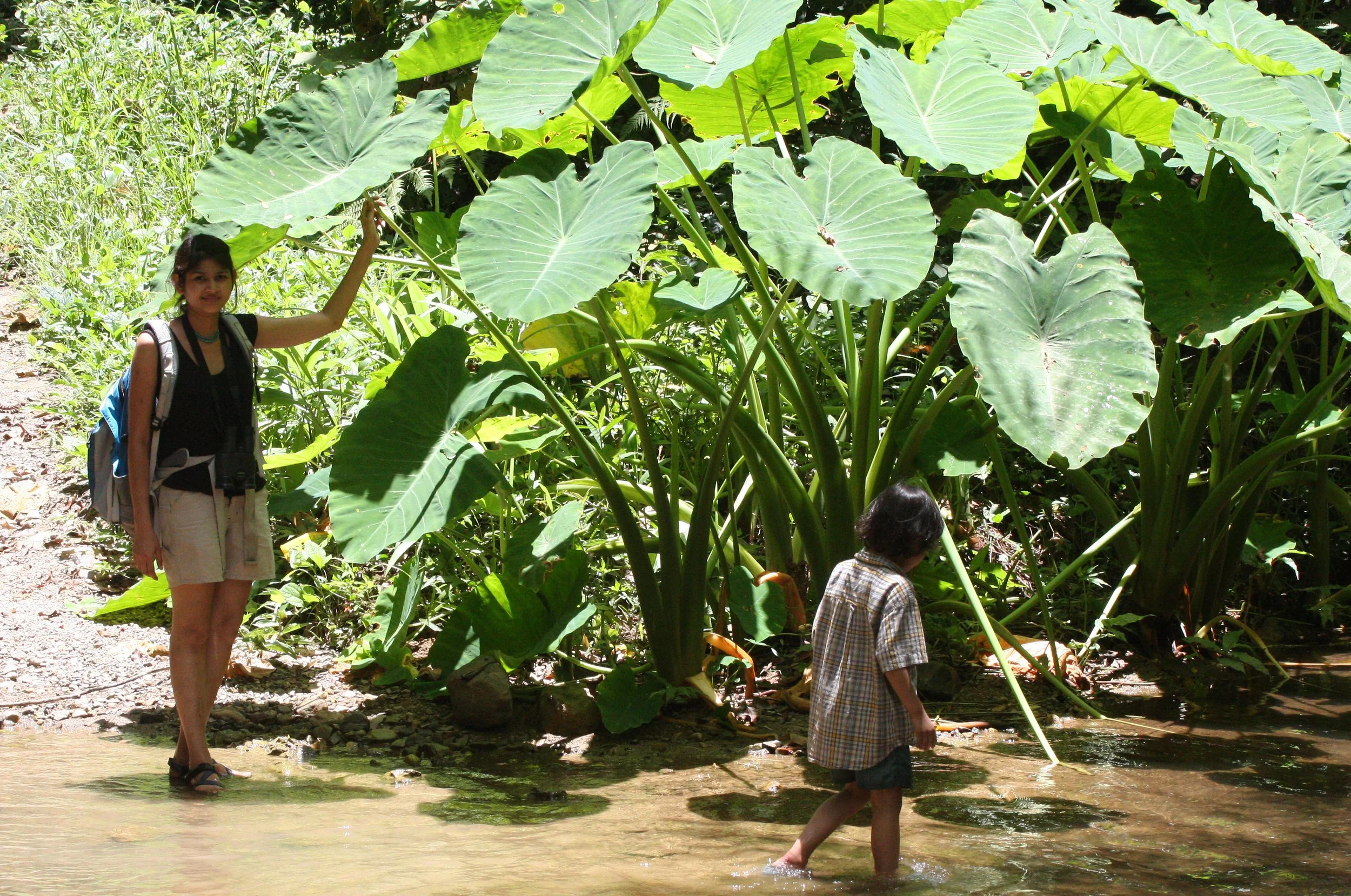 2008 Kaeng Krachan NP Trip with Cokie & Som (58).JPG
