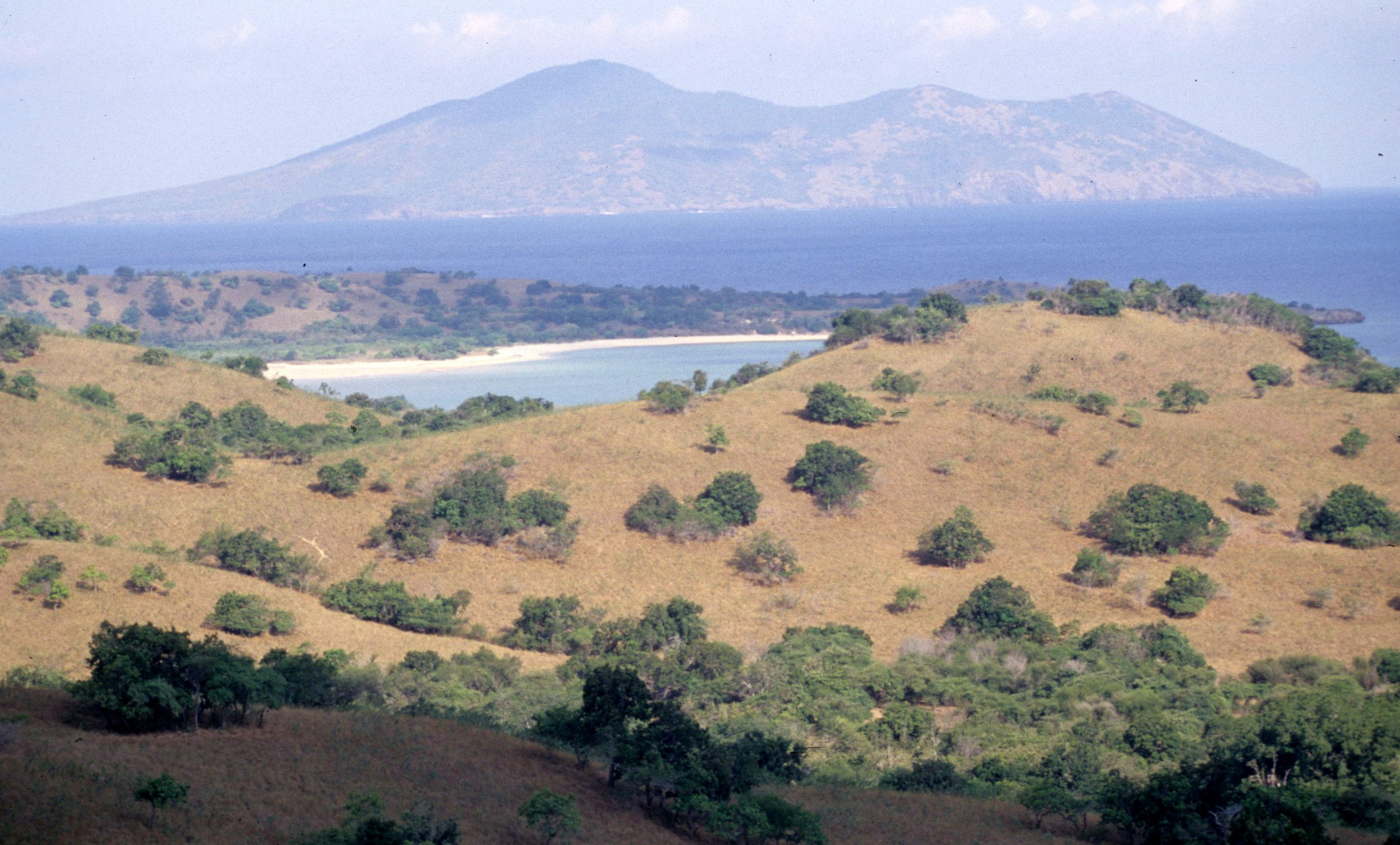 KOMODO - VIEW OF RINJA AND KOMODO.jpg
