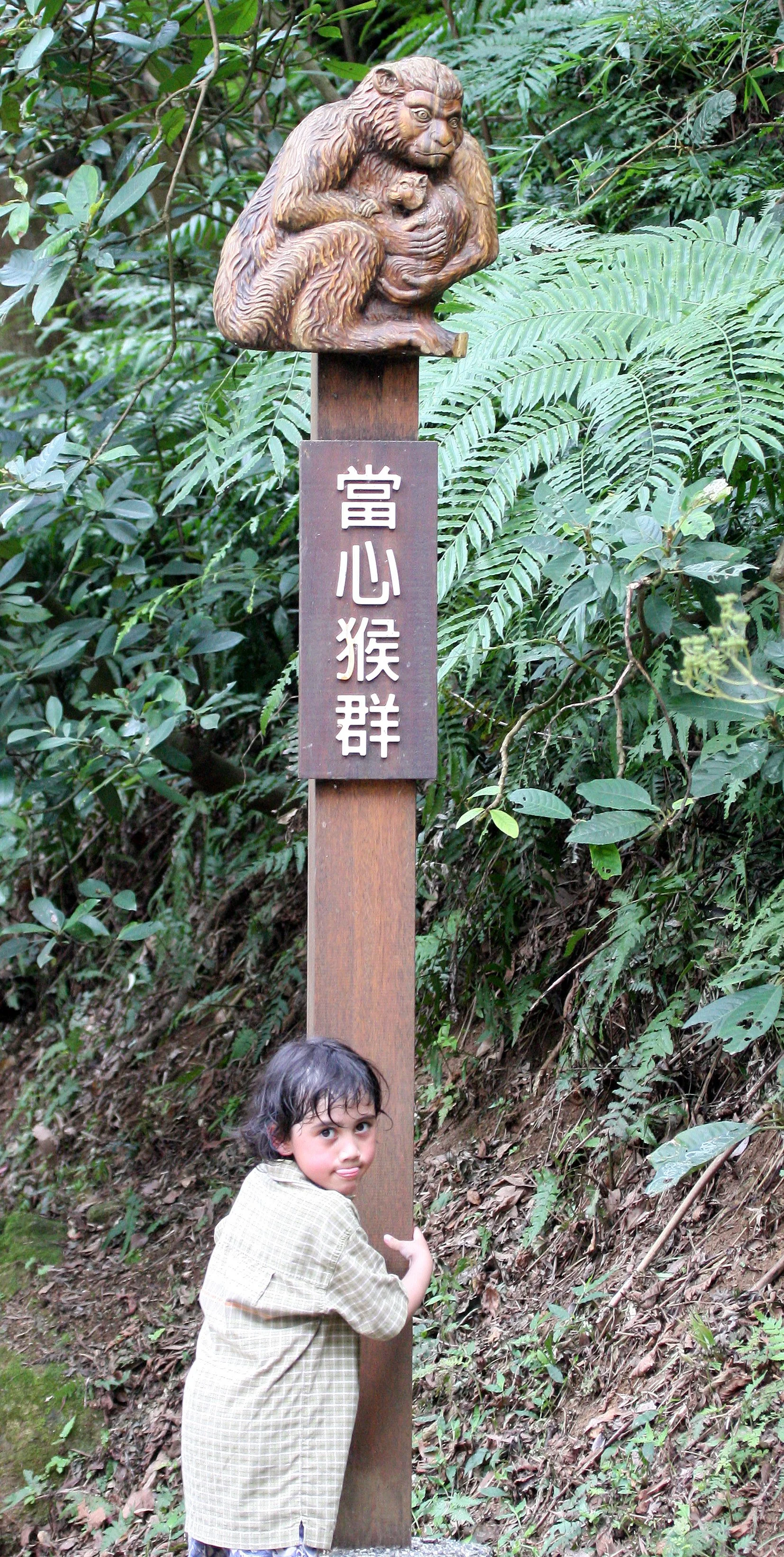 TAIPEI - MACAQUE TRAIL - LOOKING FOR FORMOSAN MACAQUE (4).JPG