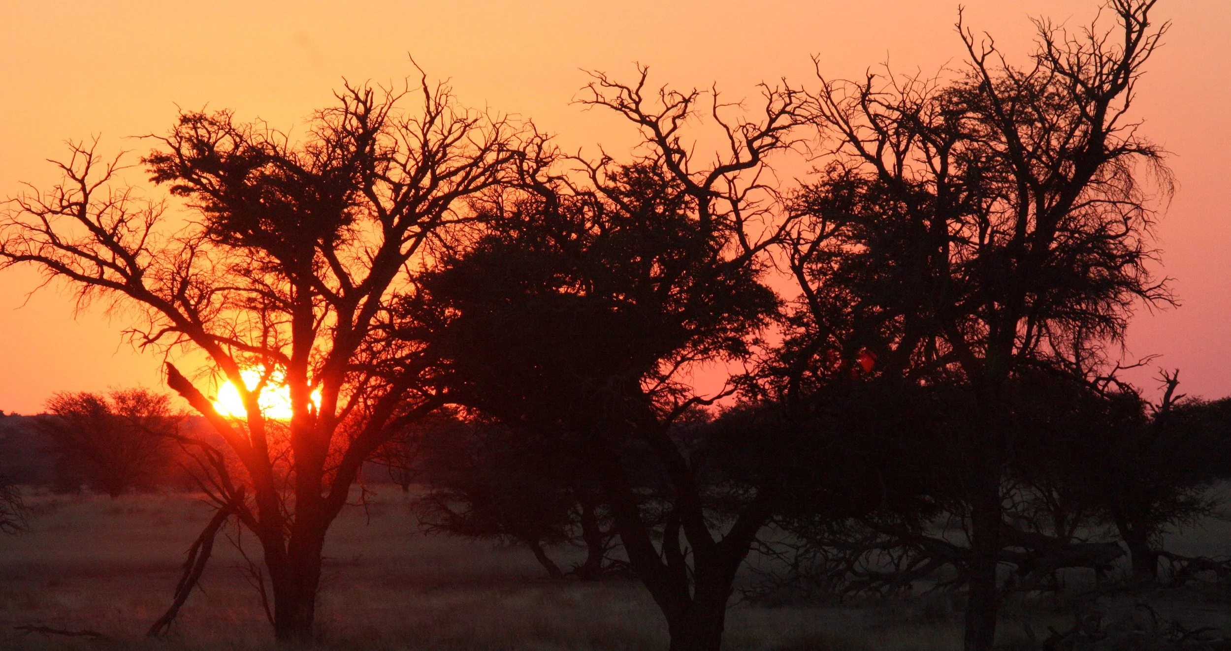 KALAHARI GEMSBOK NP - SUNSET ON THE KALAHARI (4).JPG