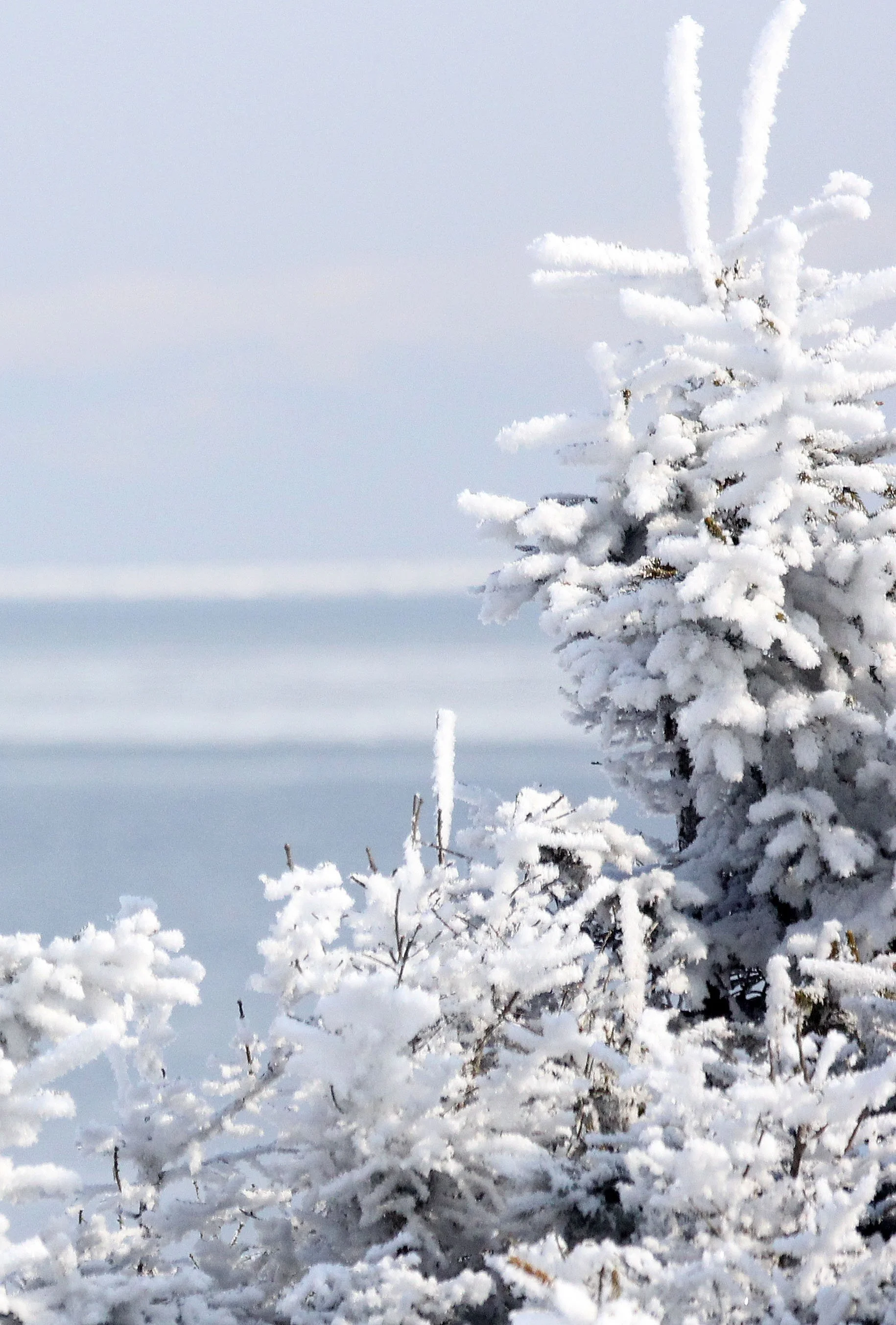 NOTSUKE PENINSULA - HOKKAIDO JAPAN (8).JPG