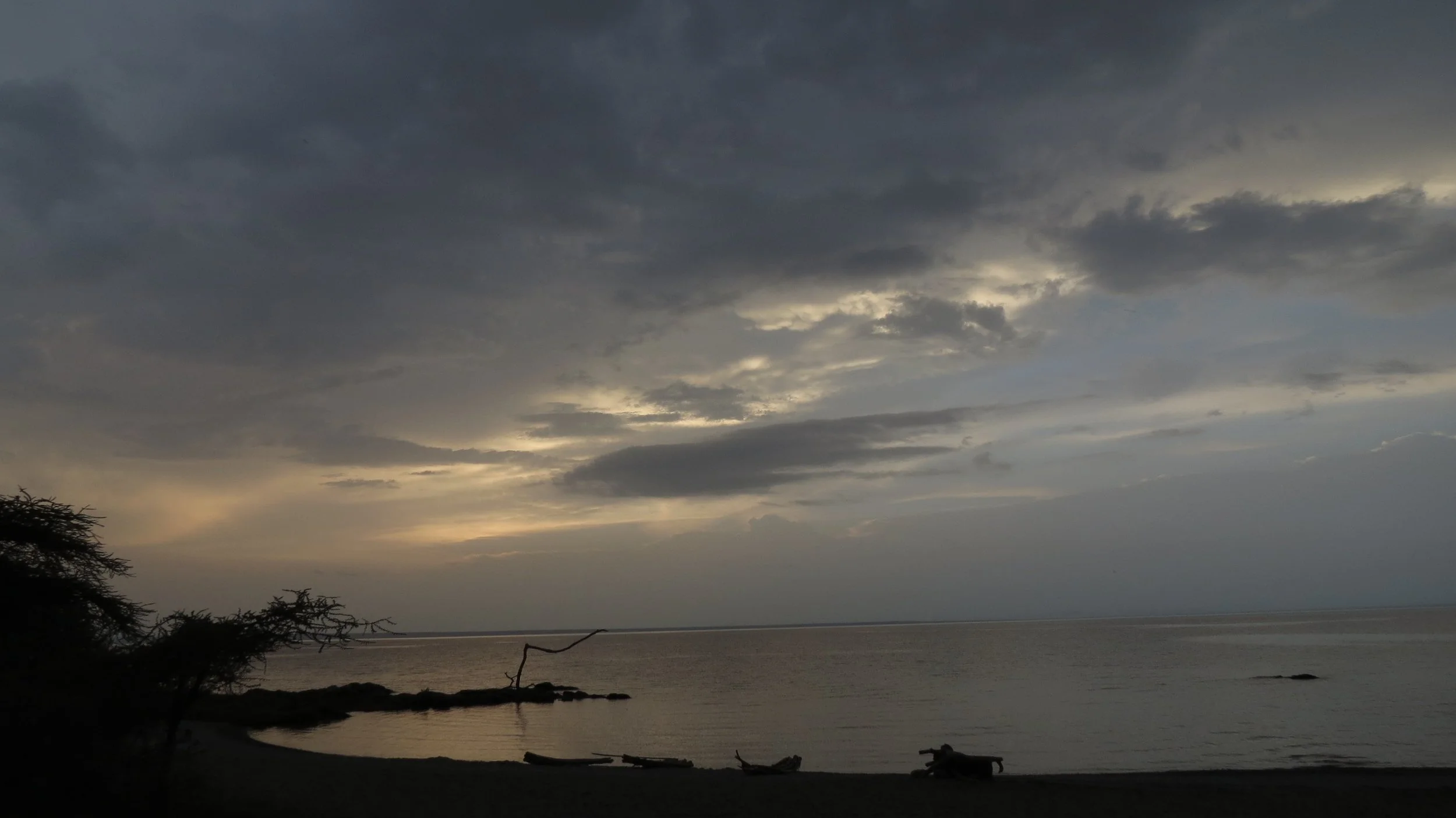 LANGANO LAKE ETHIOPIA - BISHANGARI LODGE AND SURROUNDING FOREST (60).JPG