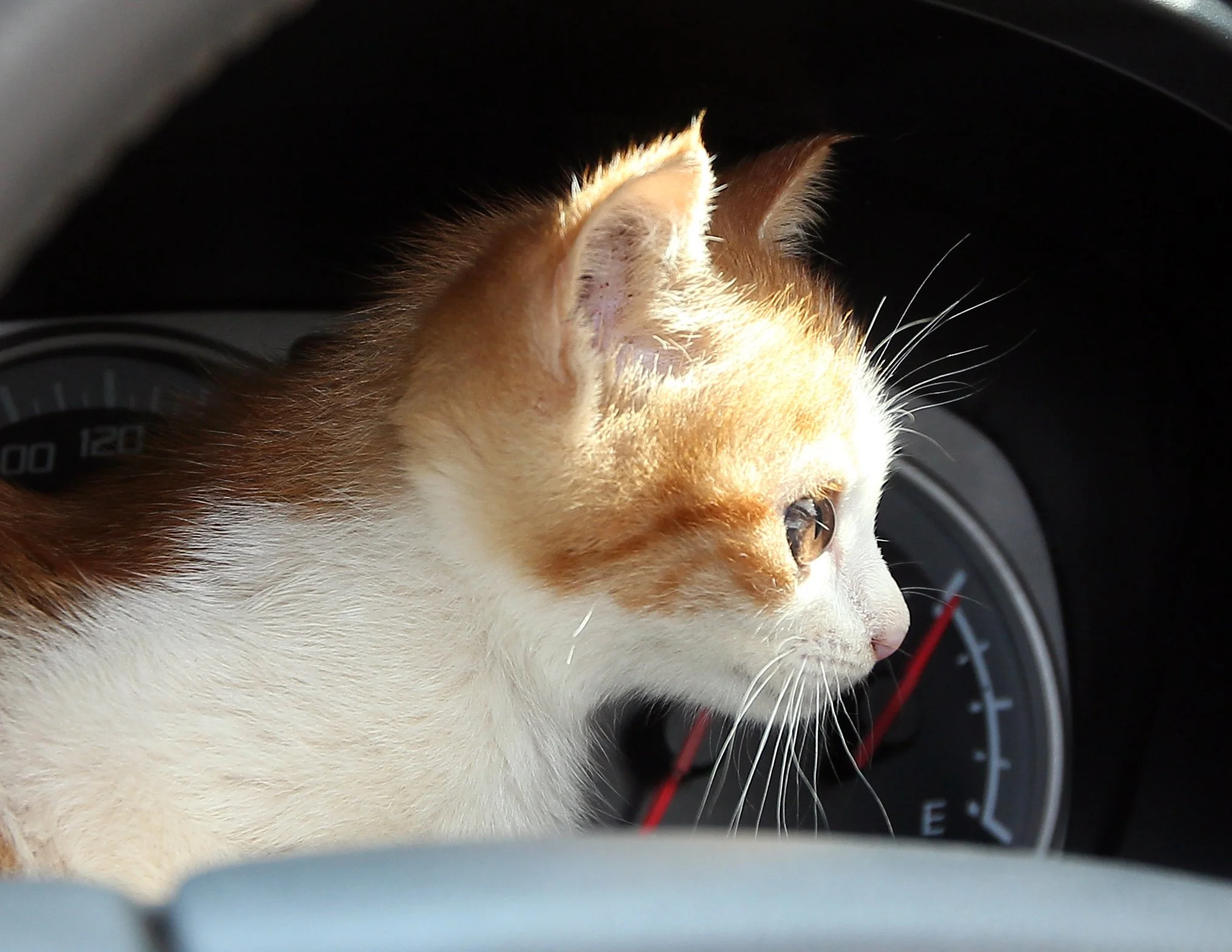 2015 Koh Lanta Summer Misc Images (635).JPG