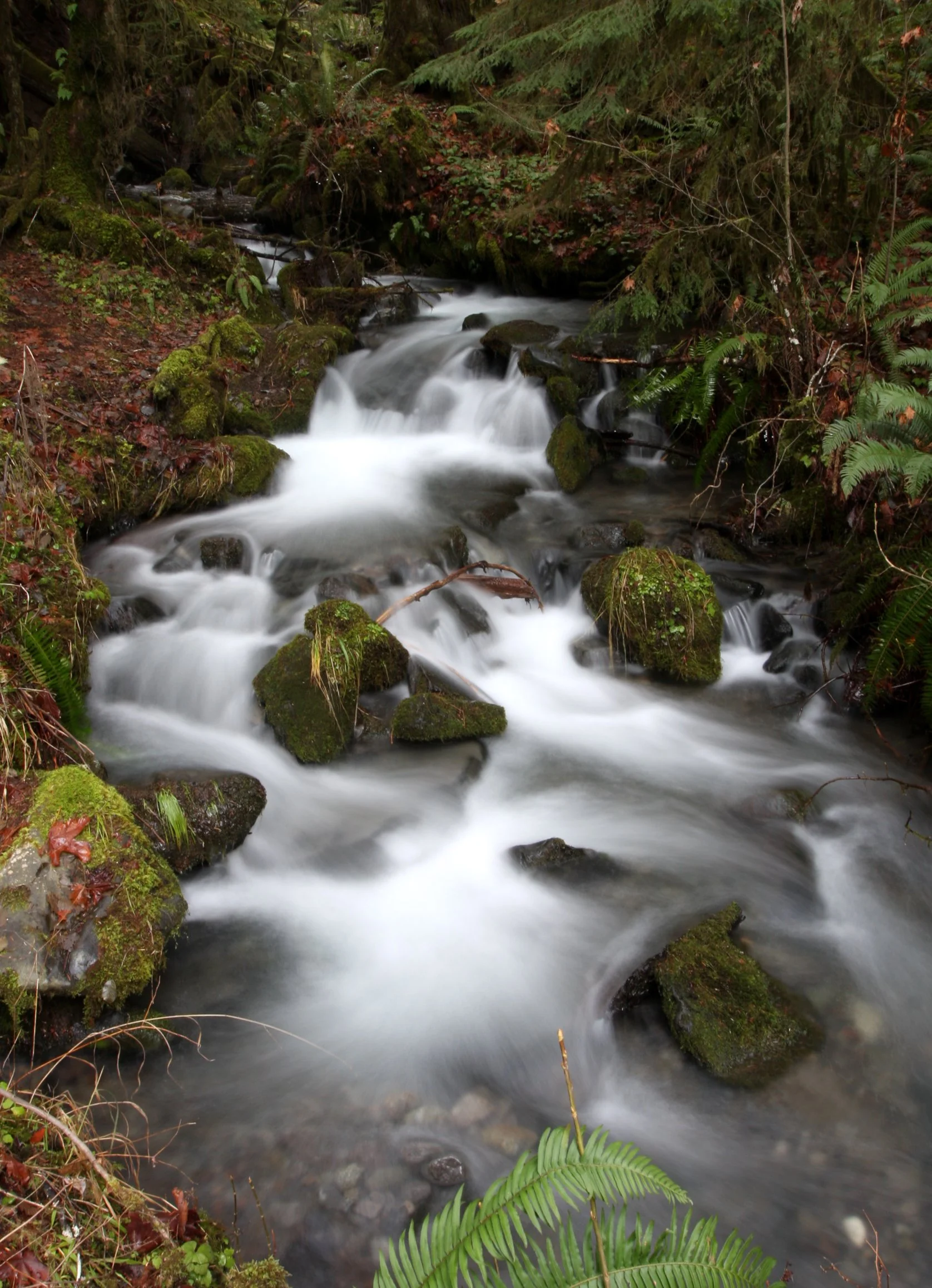 WHISKEY BEND TRAIL ROAD - SMALL STREAM (5).JPG