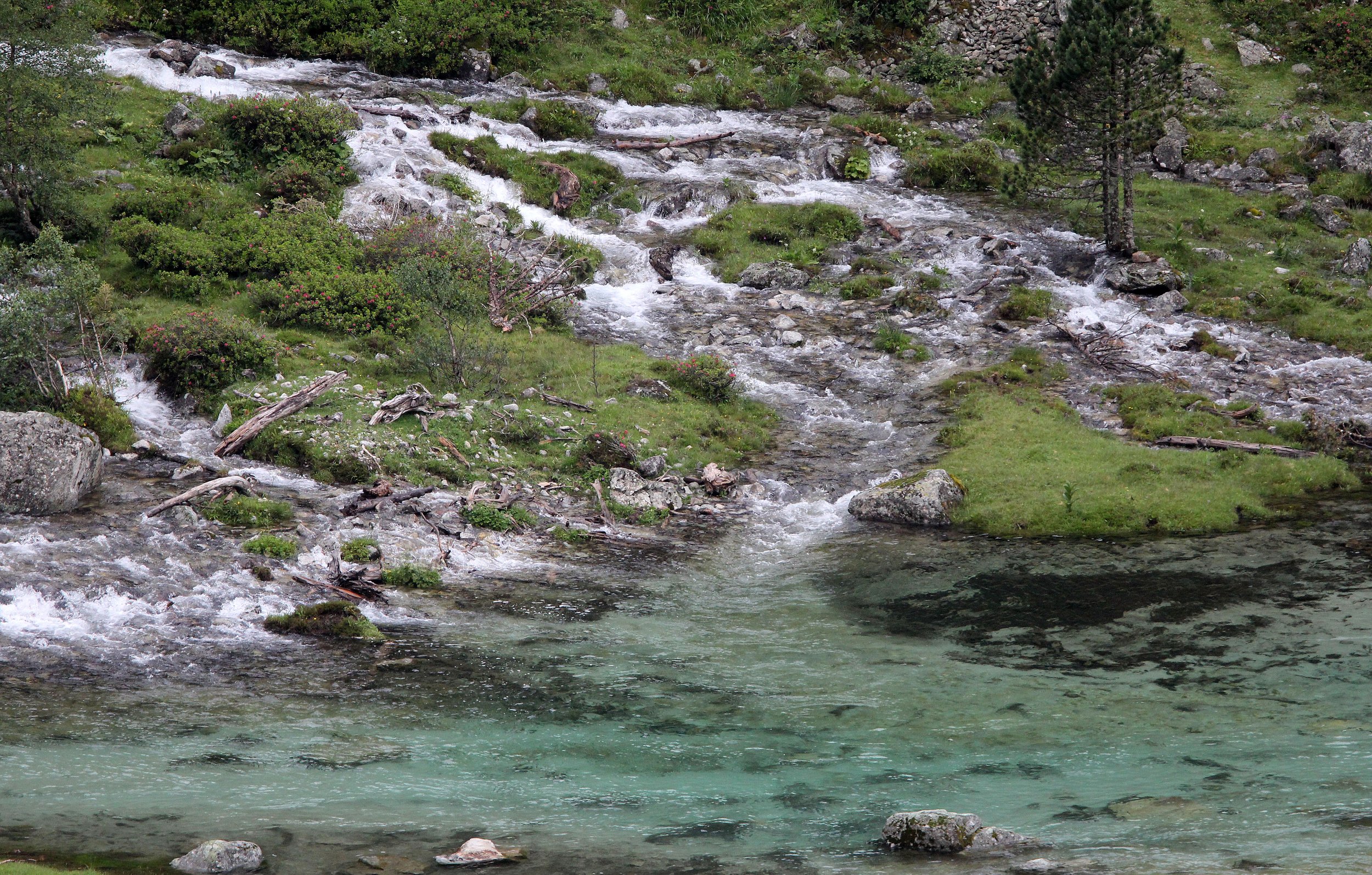 ARRENS MARSOUS PYRENEES NATIONAL PARK FRANCE (18).JPG