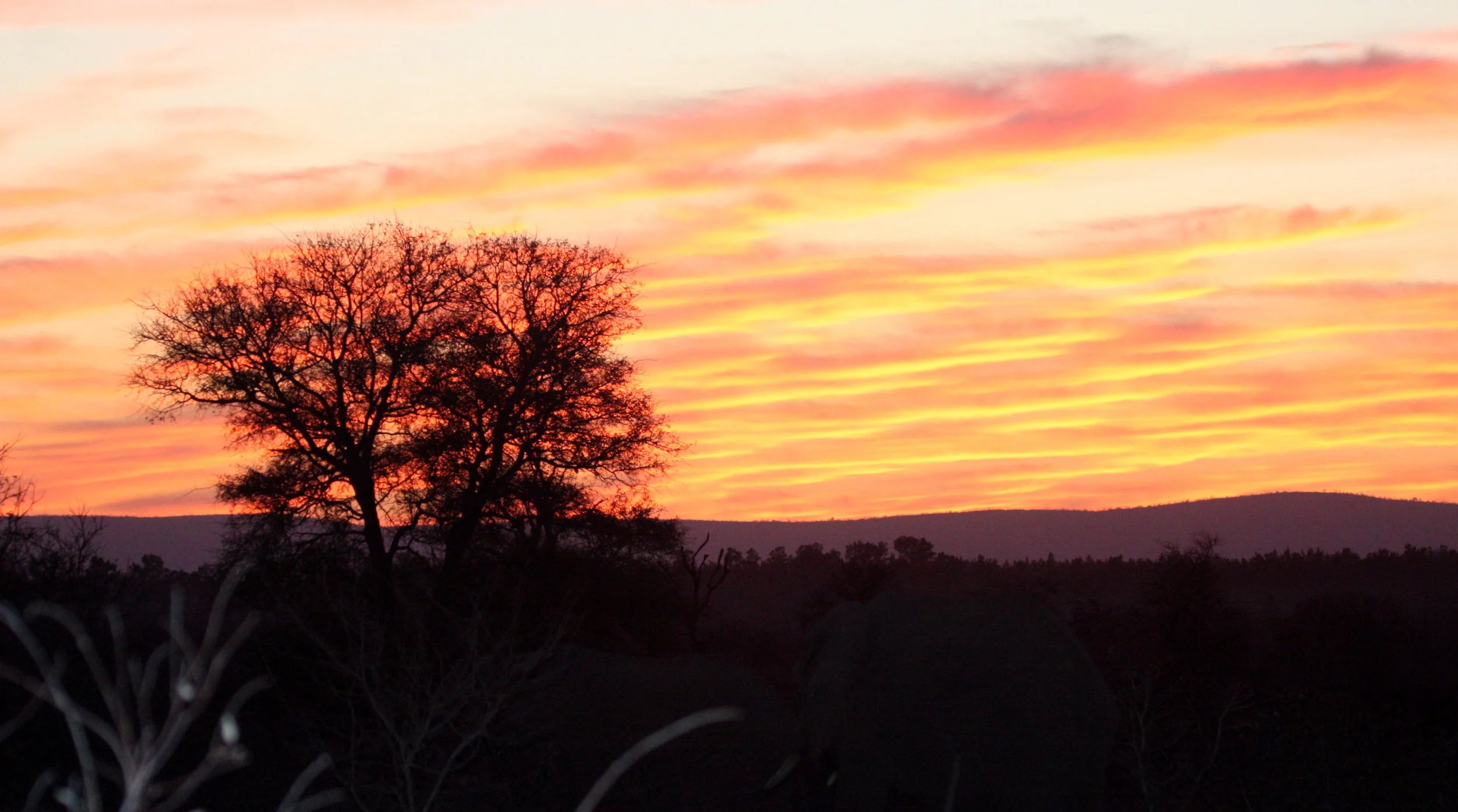 KRUGER NATIONAL PARK SOUTH AFRICA - SUNSET (2).JPG
