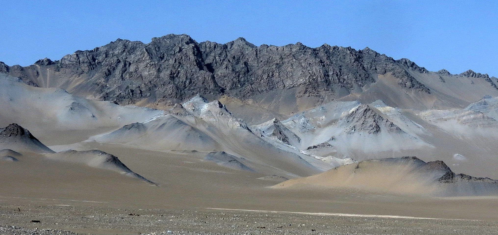 LOP NUR WILD BACTRIAN CAMEL RESERVE - XINJIANG CHINA (21).JPG