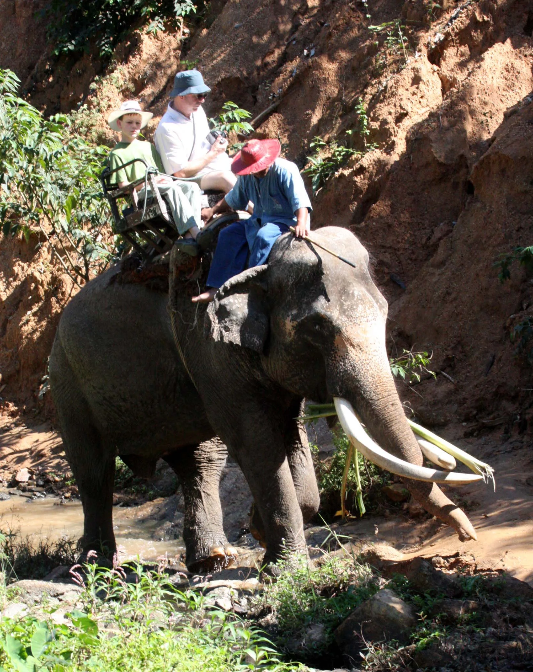 2008 Lampang City & Elephant Center (65).JPG