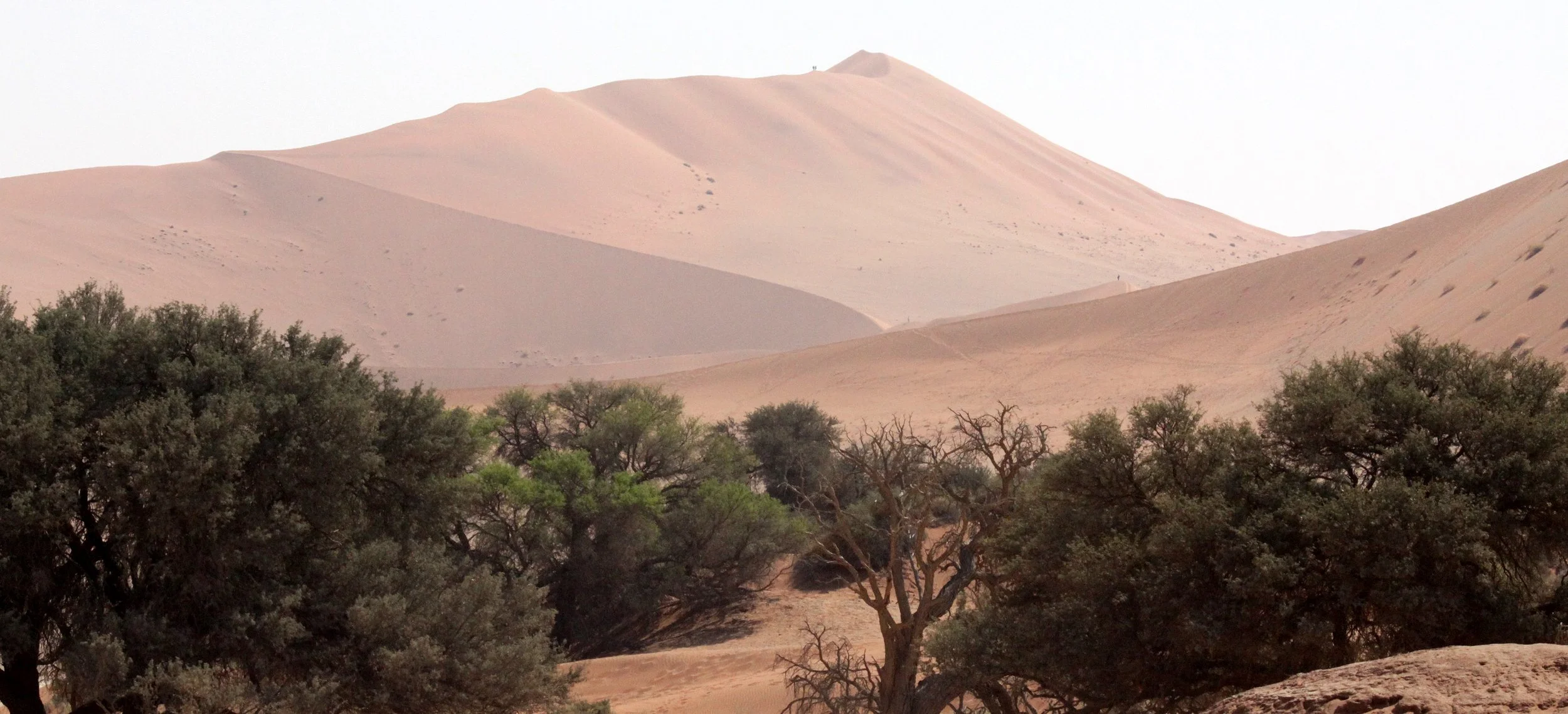 SOSSUSVLEI, NAMIB NAUKLUFT NATIONAL PARK, NAMIBIA - BIG MOMMA.JPG