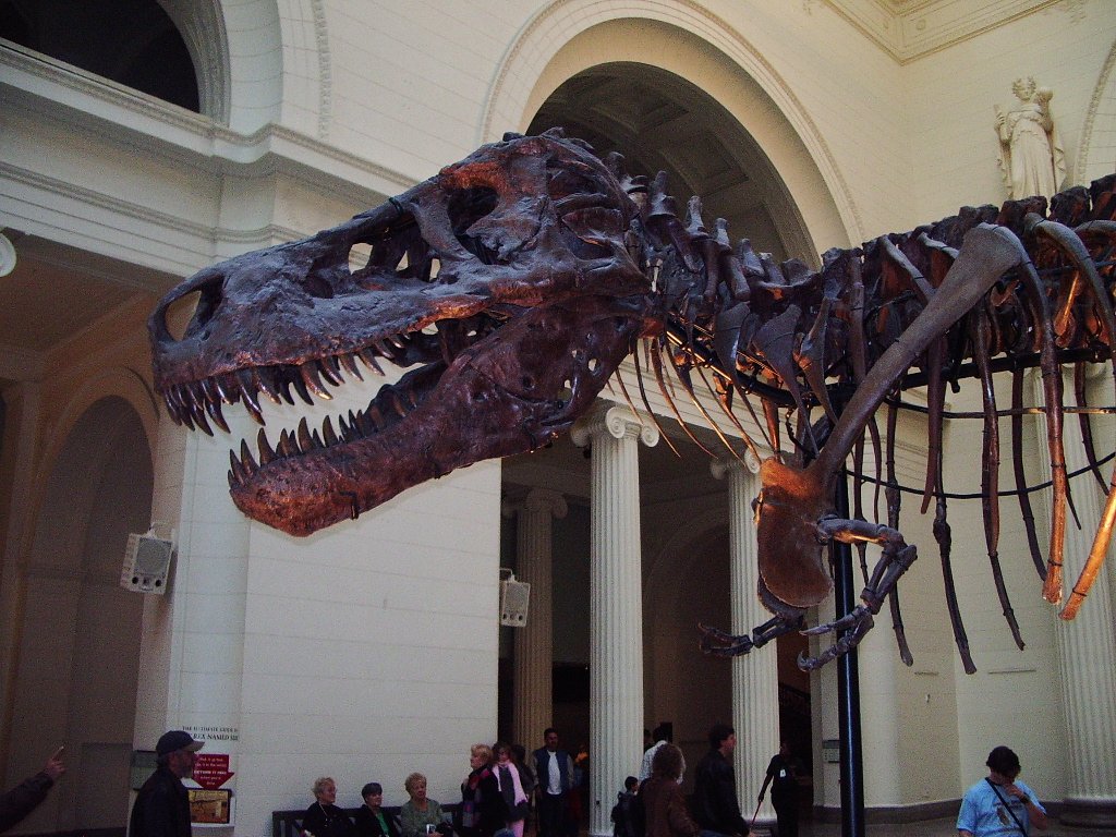 2004-11-6  CHICAGO FOR BIO TEACHERS CONFERENCE (13).JPG