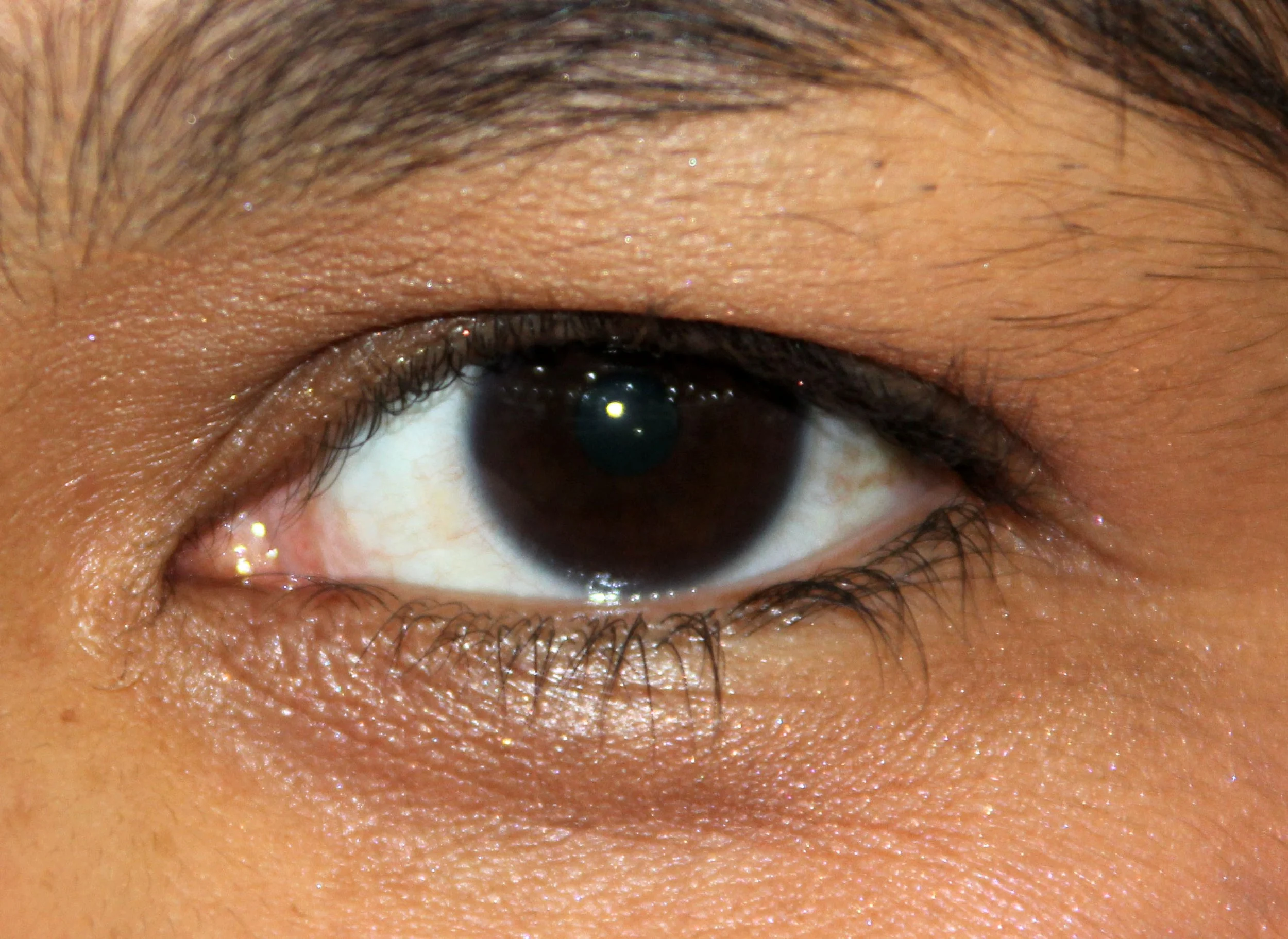 2012-11-3  SHANGHAI HUAIHAI LU ON A SUNDAY AFTERNOON (2).JPG