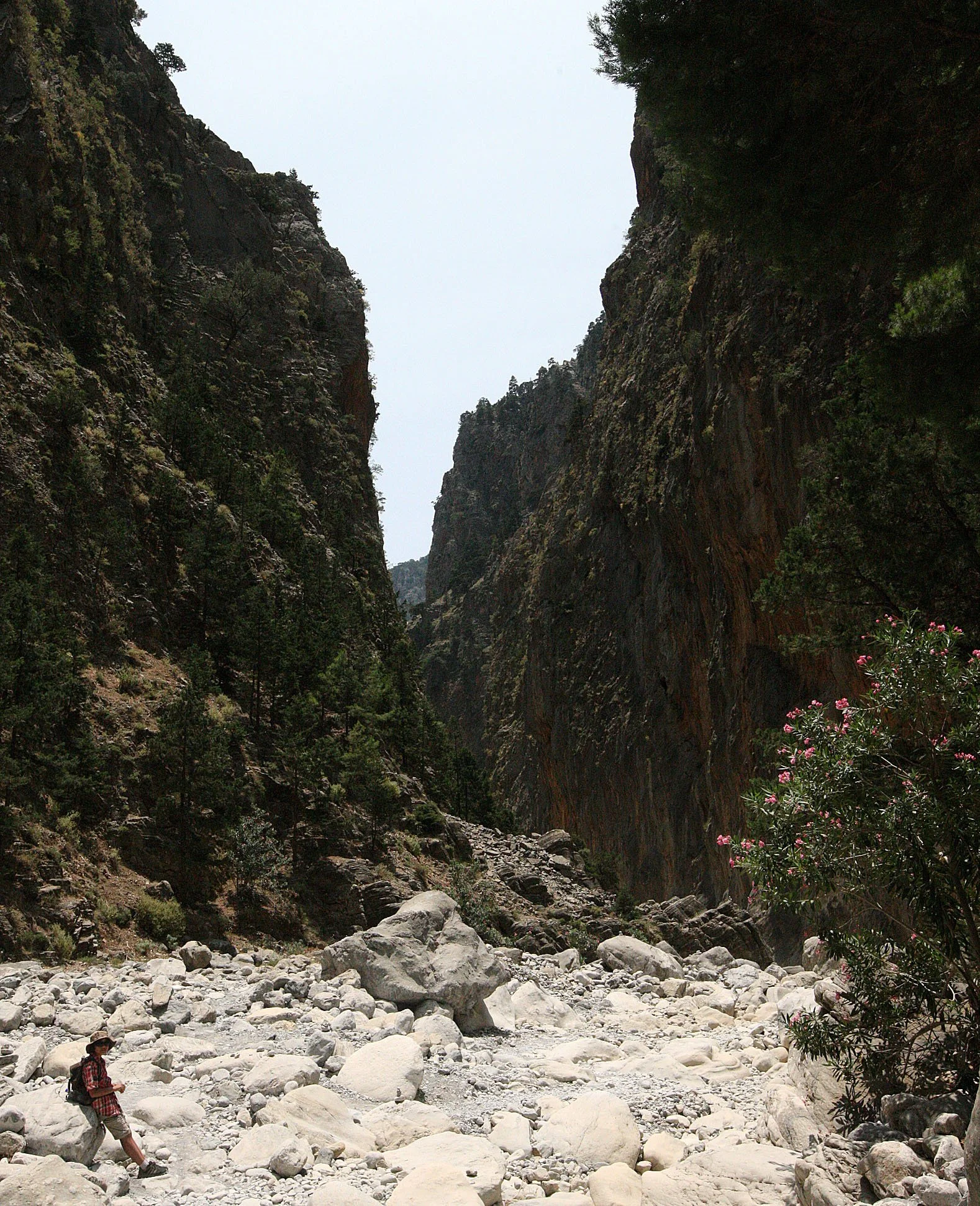 SAMARIA GORGE NATIONAL PARK CRETE (62).JPG