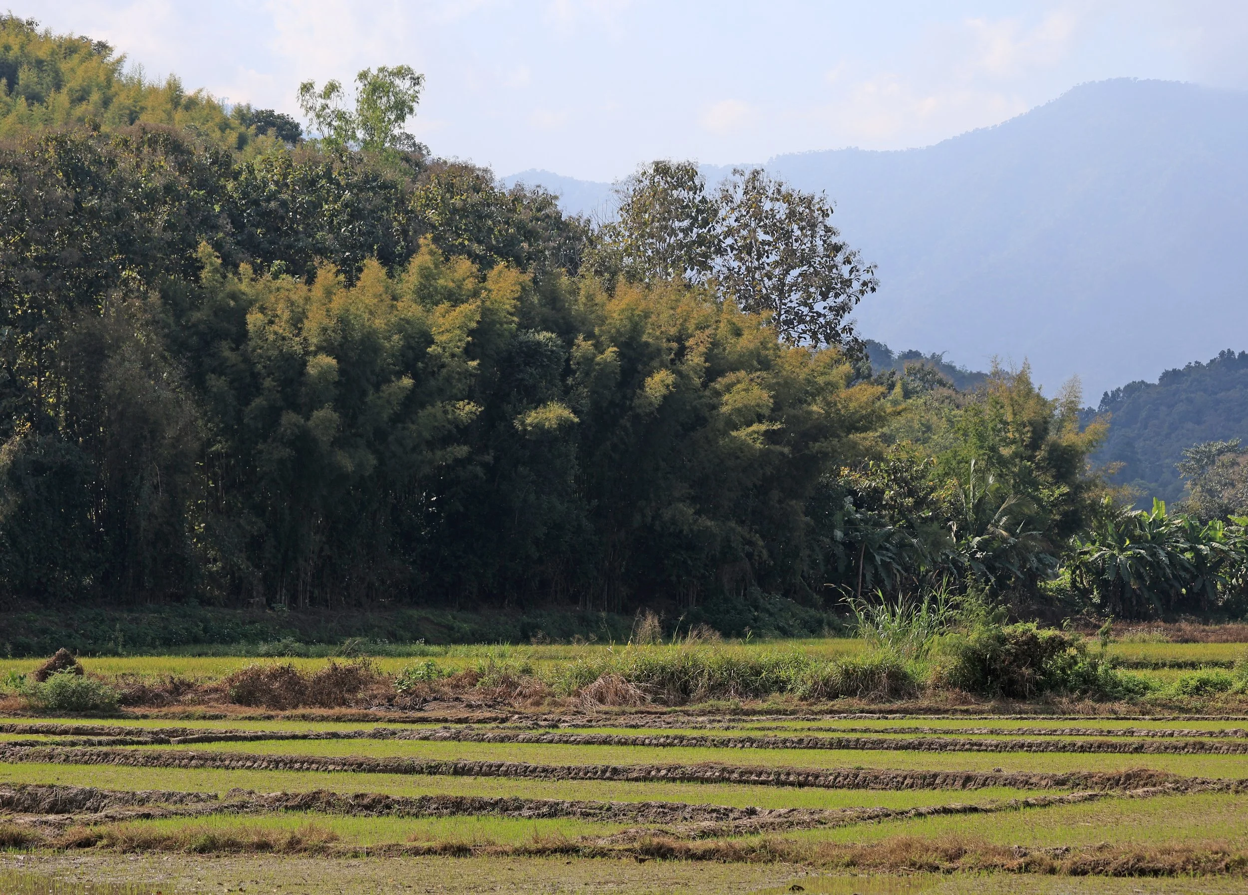 Phra That Pha Chang - Phayao Province (4).jpg