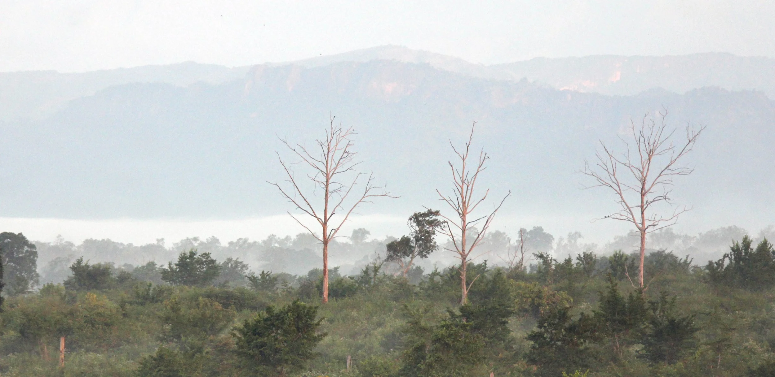 UDAWALAWA NATIONAL PARK SRI LANKA (10).JPG