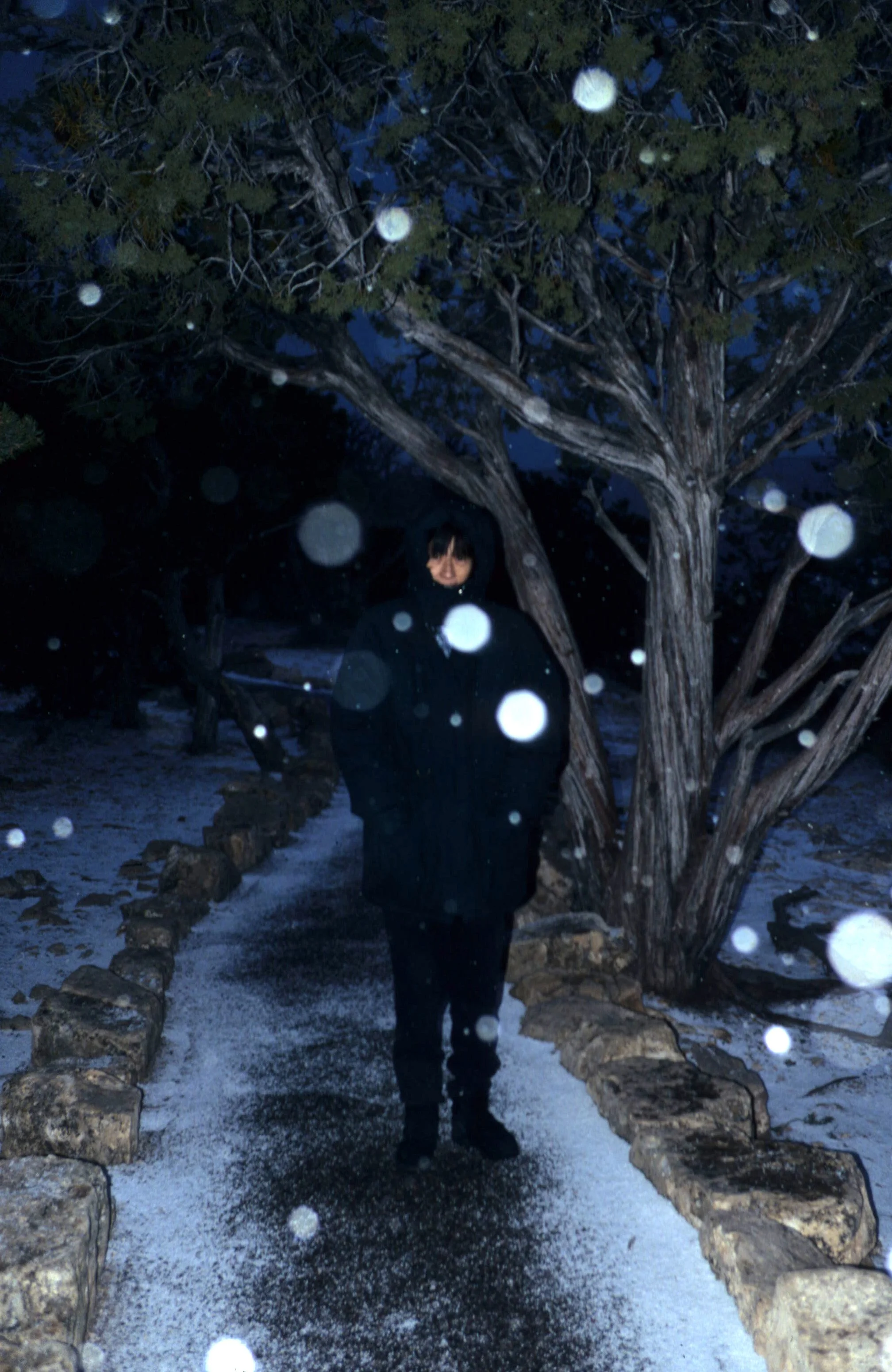 ARIZONA - GRAND CANYON - LIEN IN SNOW.jpg