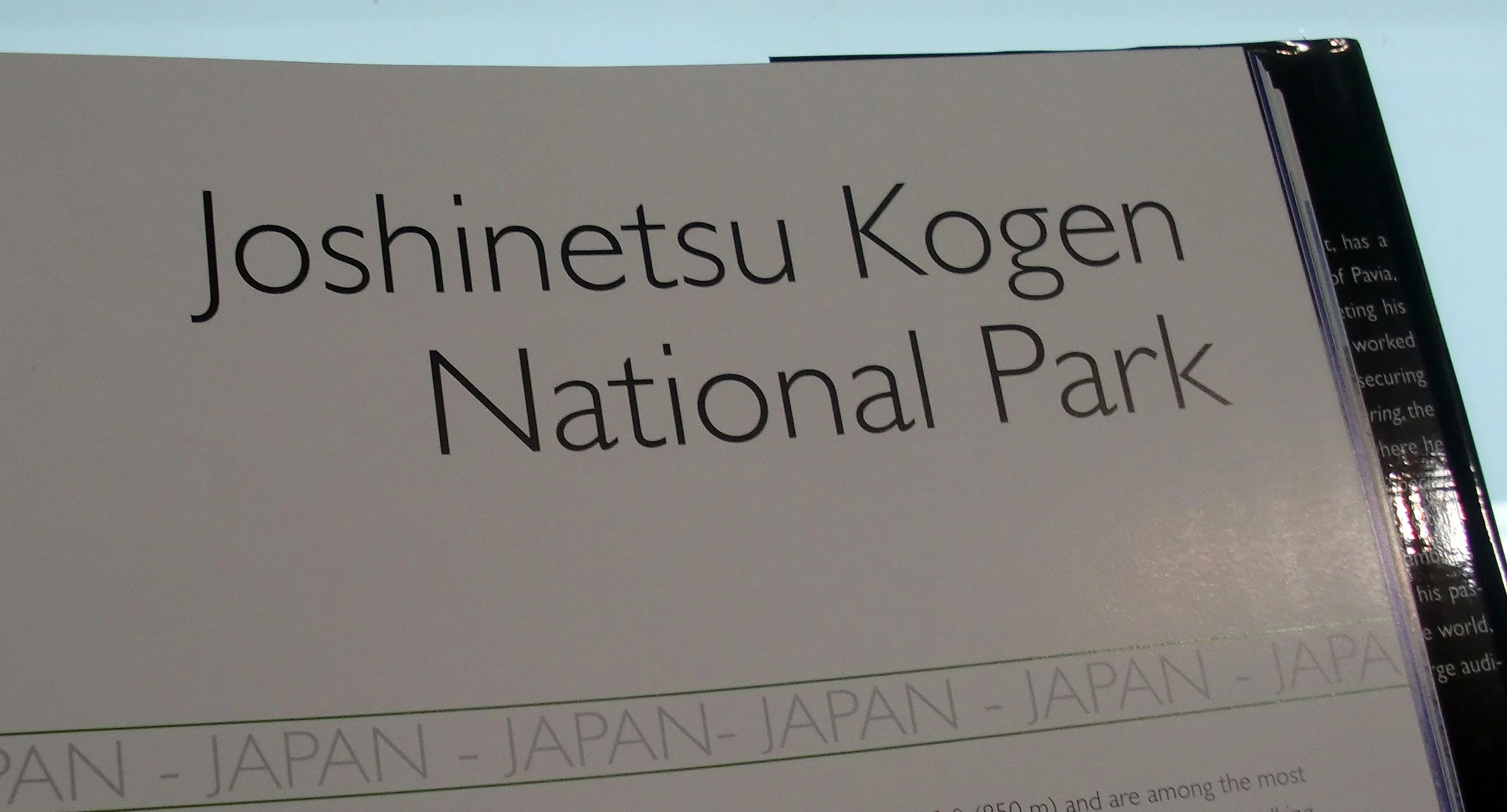 2011 Bangkok Winter Trip from Shanghai with Family (17).JPG