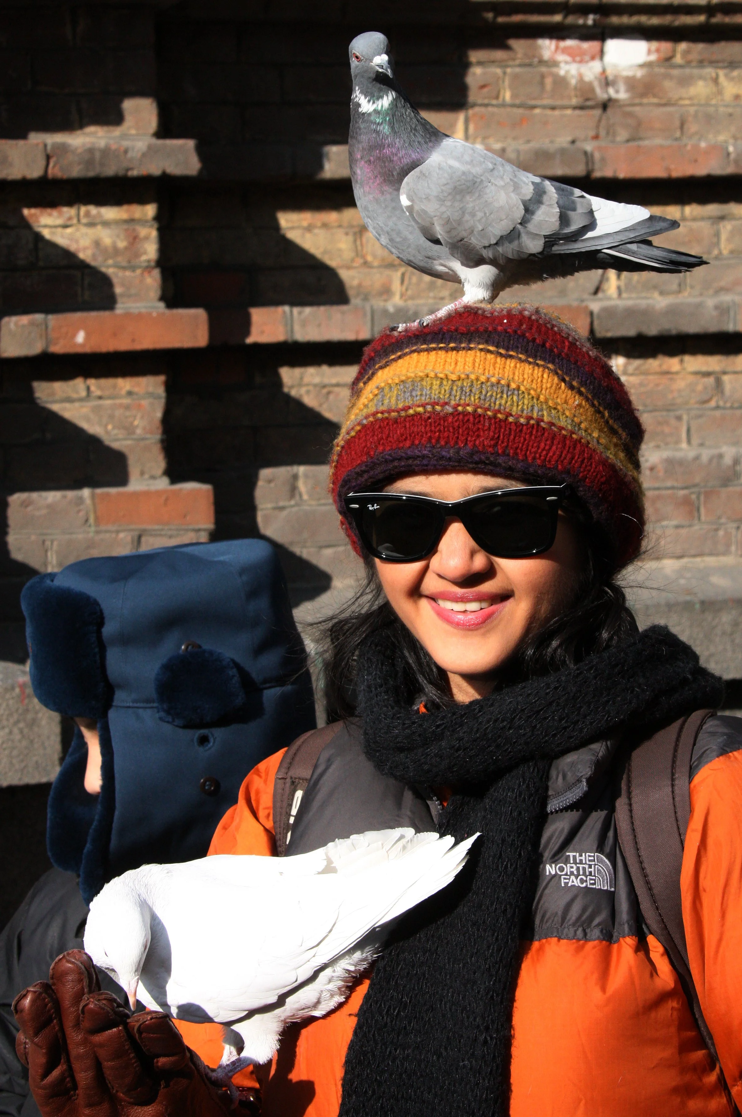 BIRD - PIGEON - HARBIN SAINT SOPHIA'S CATHEDRAL CHINA (65).JPG