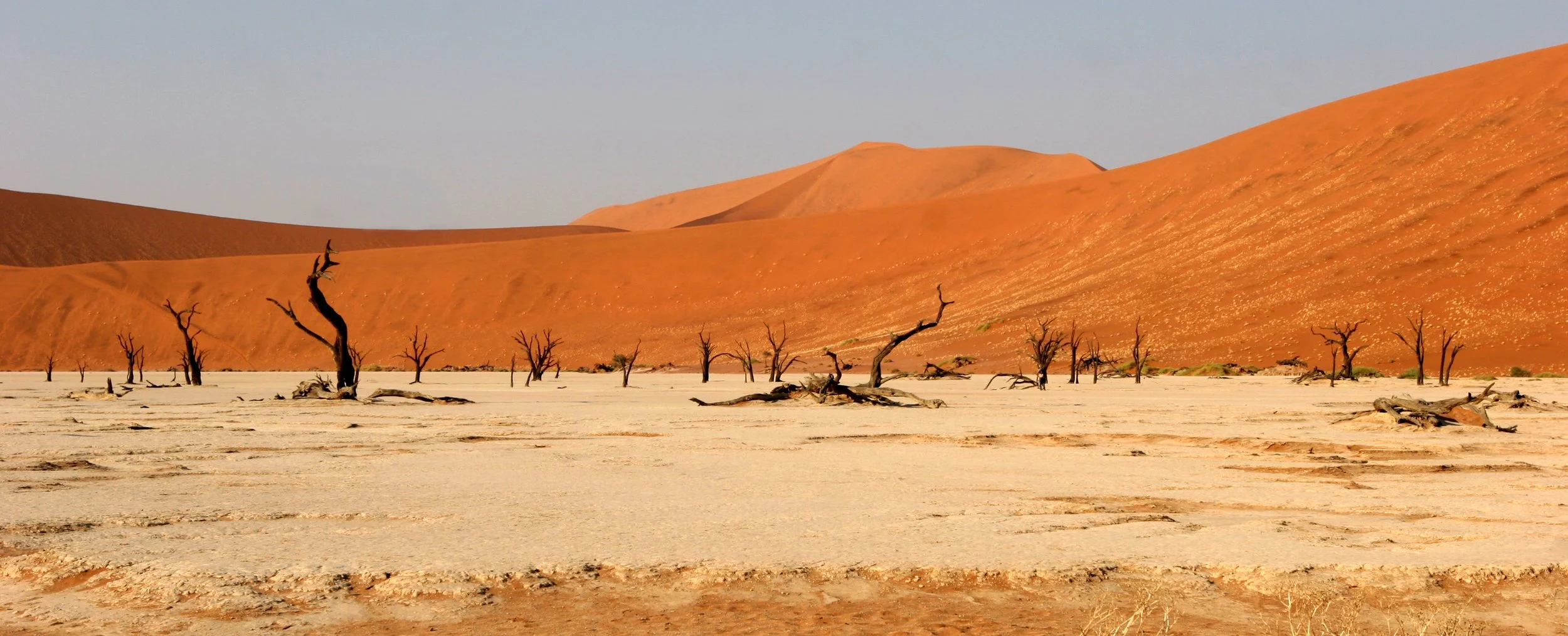 NAMIBIA - SOSSUSVLEI - DEAD VLEI - NAMIBIA (9).JPG