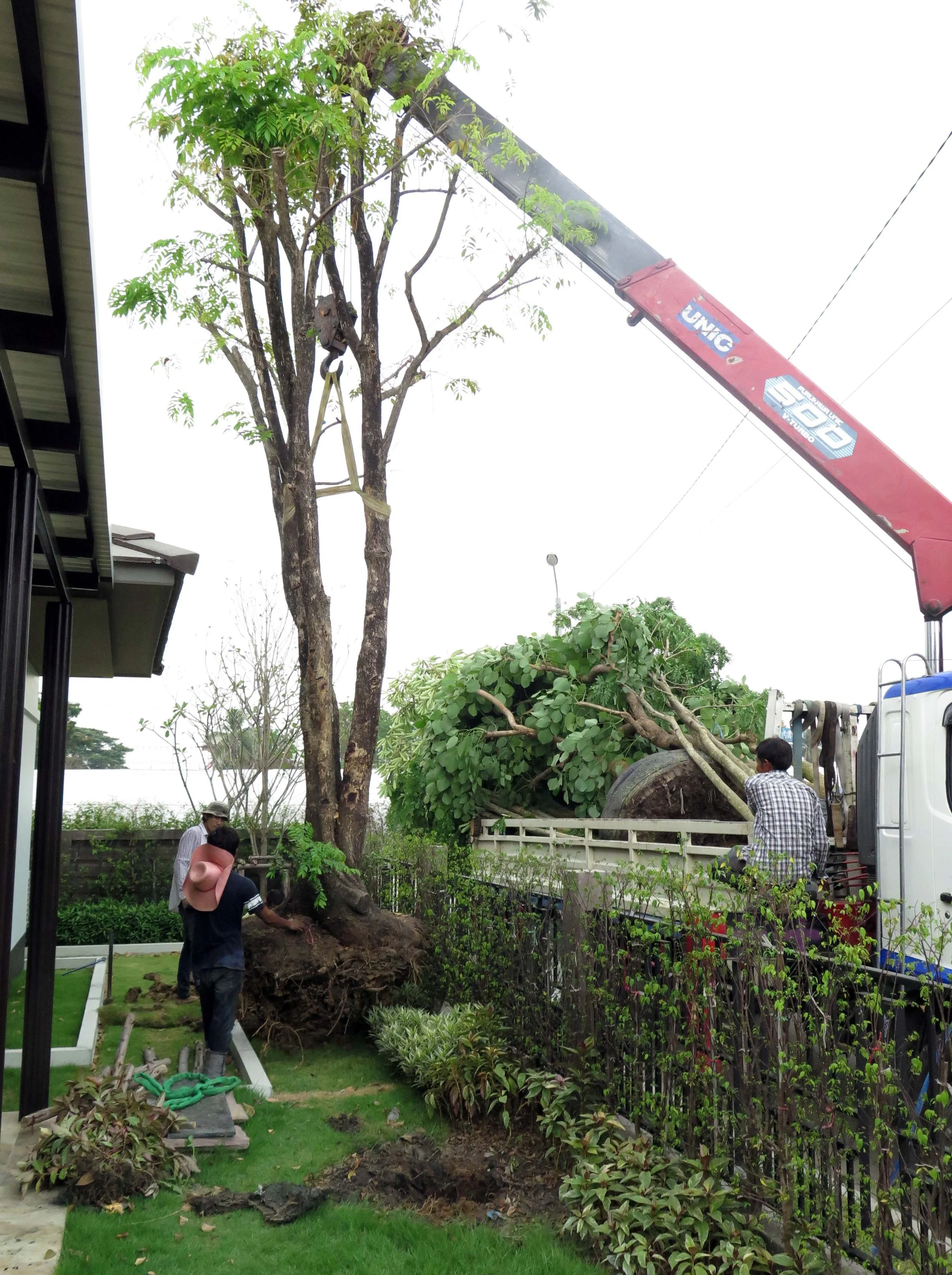 2013 Nonthaburi Setthasiri House and Nonthaburi Neighborhood (24).JPG