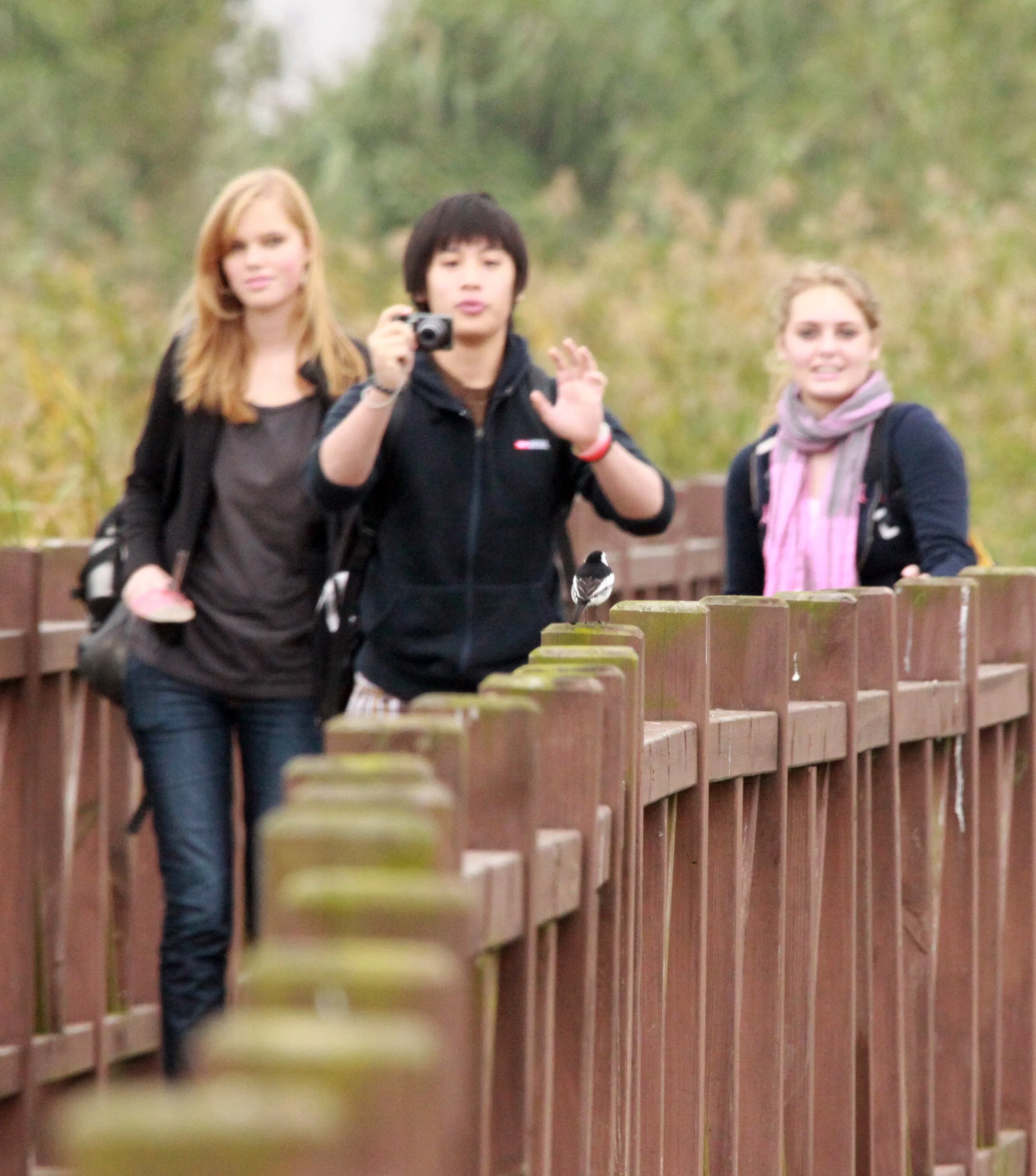 CHONGMING ISLAND DONGTAN WETLANDS RESERVE FIELD TRIP 2011 (62).JPG