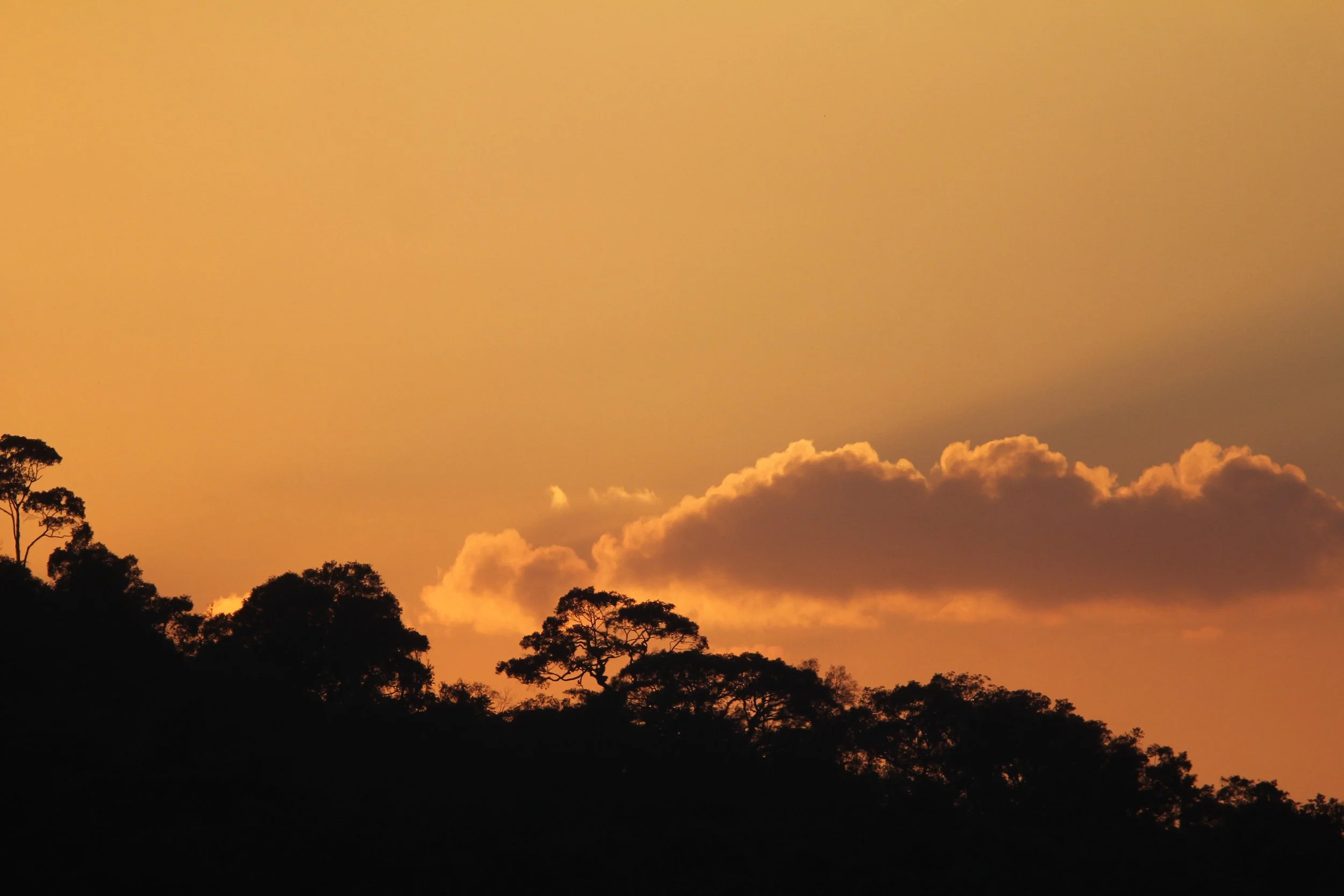 2019 Khao Yai National Park Camping with Gift (123).JPG