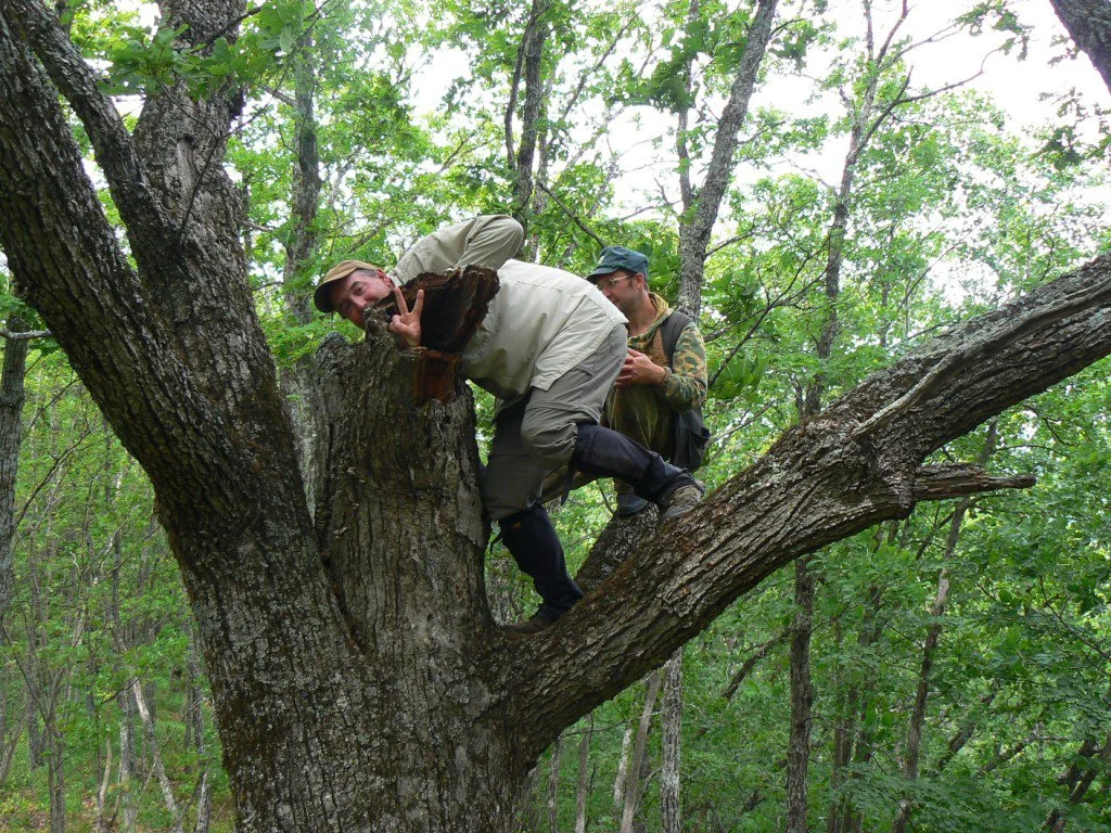 P1030379[1].jpg