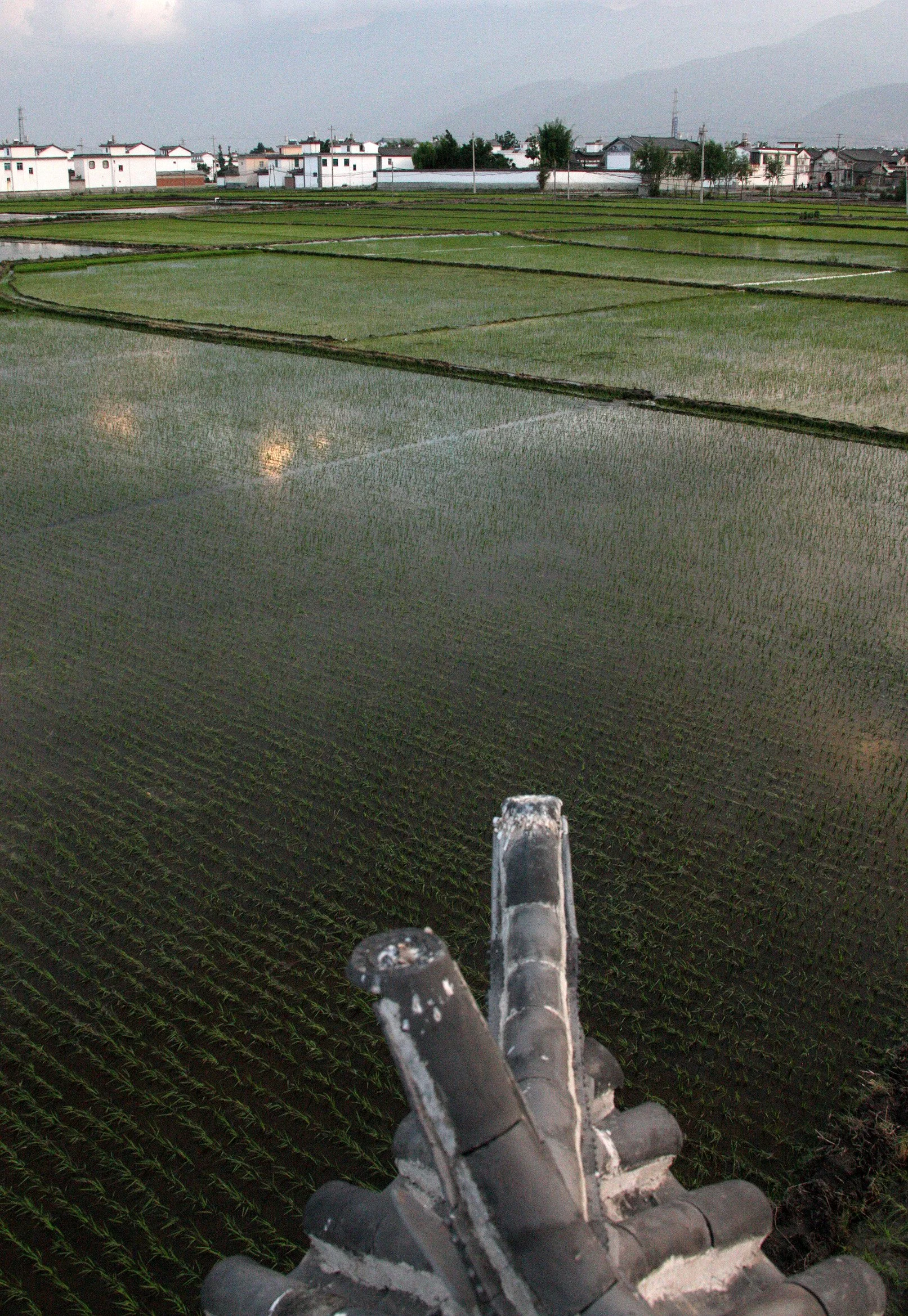 LINDEN CENTER - XIZHOU VILLAGE YUNNAN CHINA (38).JPG