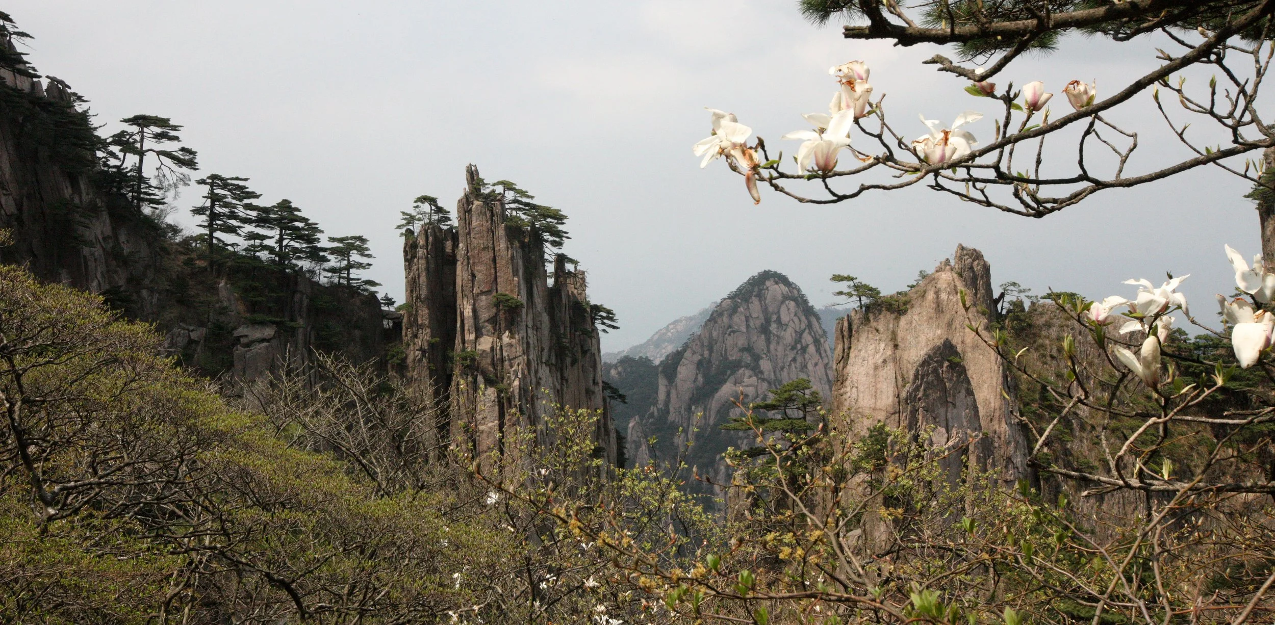 HUANGSHAN NATIONAL PARK ANHUI PROVINCE CHINA (54).JPG